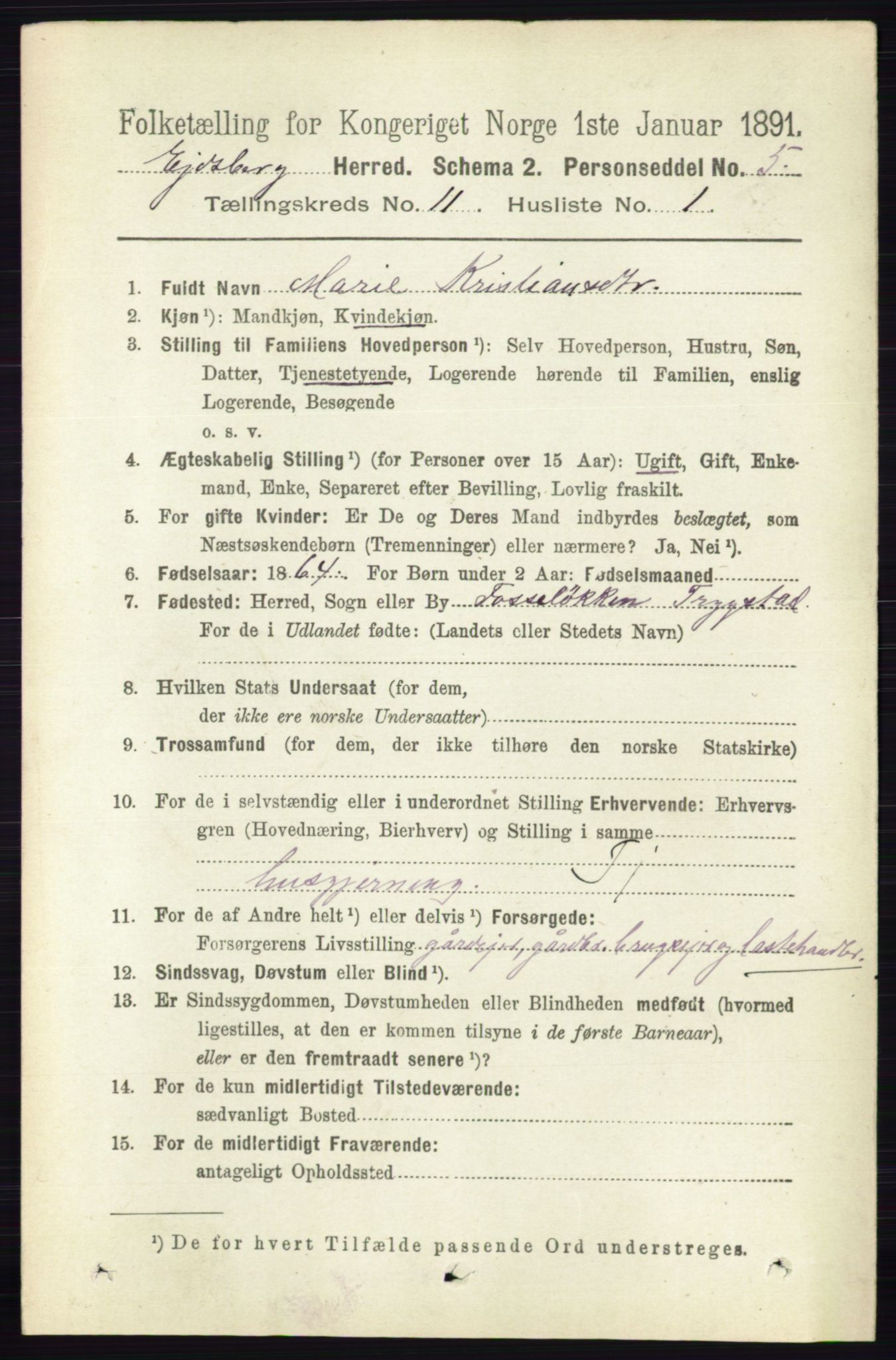 RA, 1891 census for 0125 Eidsberg, 1891, p. 6367