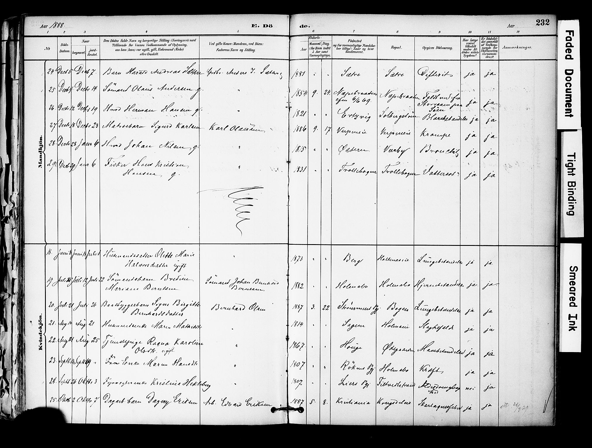 Hurum kirkebøker, SAKO/A-229/F/Fa/L0014: Parish register (official) no. 14, 1882-1895, p. 232