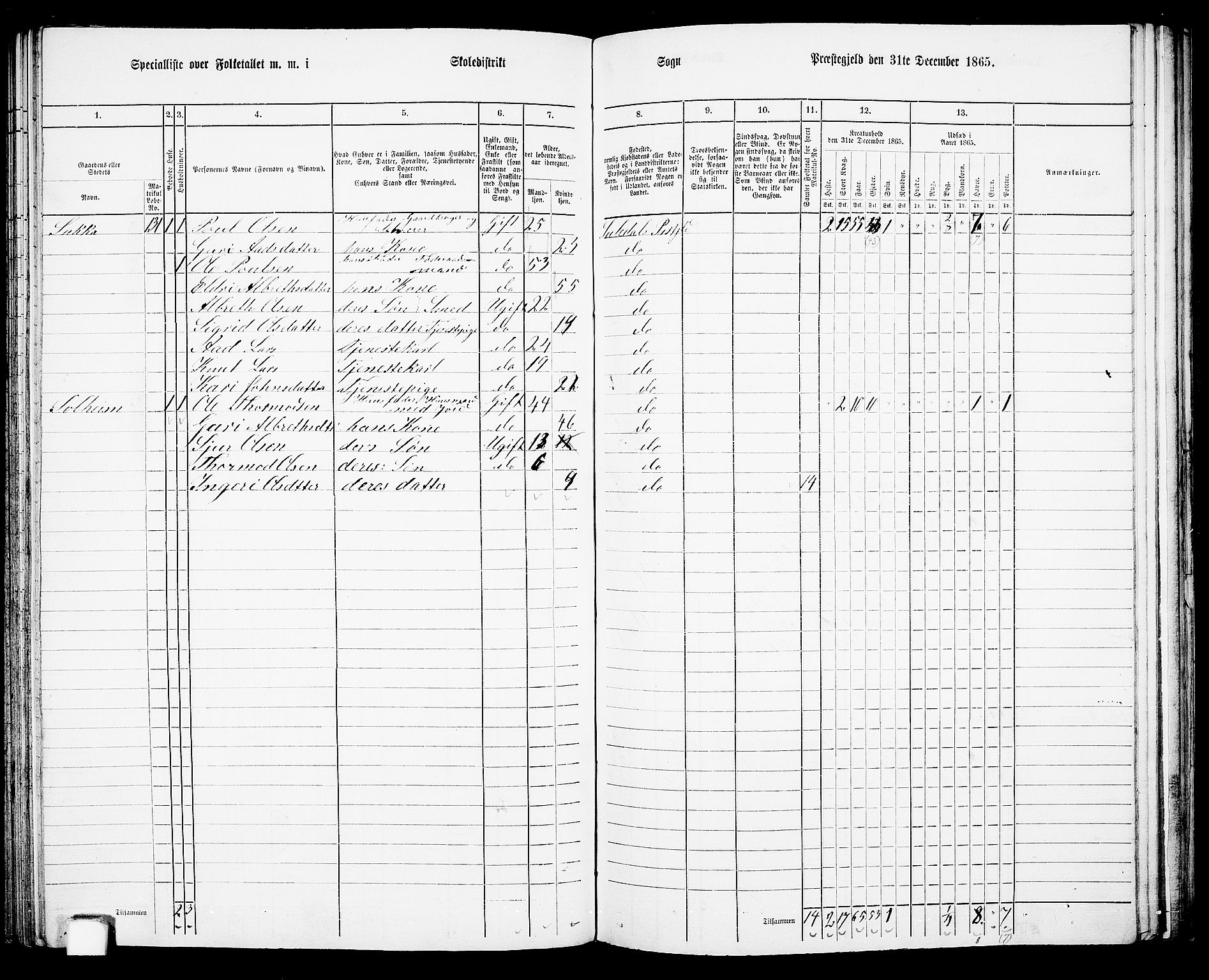 RA, 1865 census for Suldal, 1865, p. 80