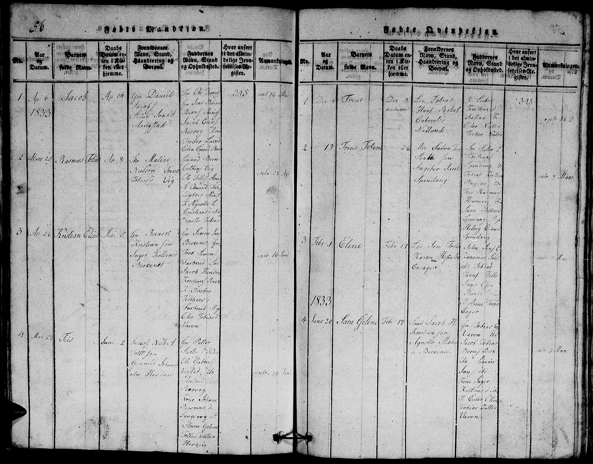Herad sokneprestkontor, SAK/1111-0018/F/Fb/Fbb/L0001: Parish register (copy) no. B 1, 1815-1852, p. 56
