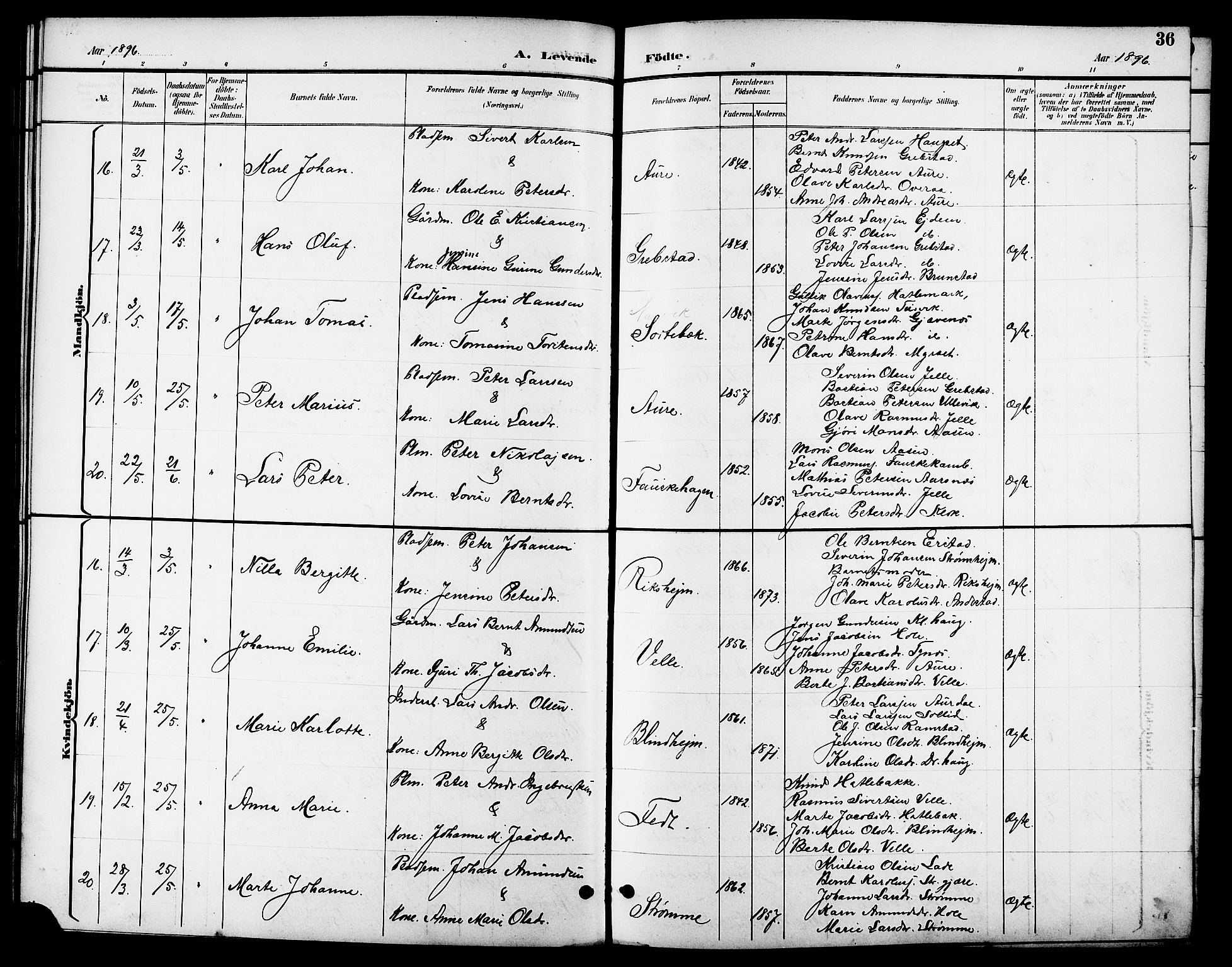 Ministerialprotokoller, klokkerbøker og fødselsregistre - Møre og Romsdal, AV/SAT-A-1454/523/L0340: Parish register (copy) no. 523C03, 1892-1902, p. 36