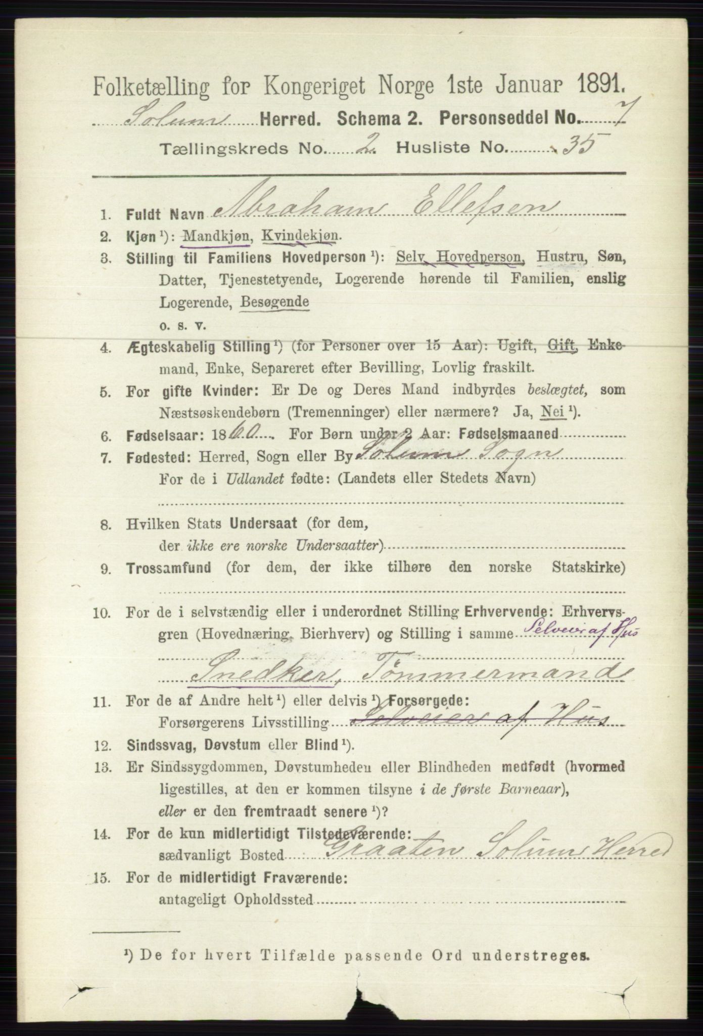 RA, 1891 census for 0818 Solum, 1891, p. 295