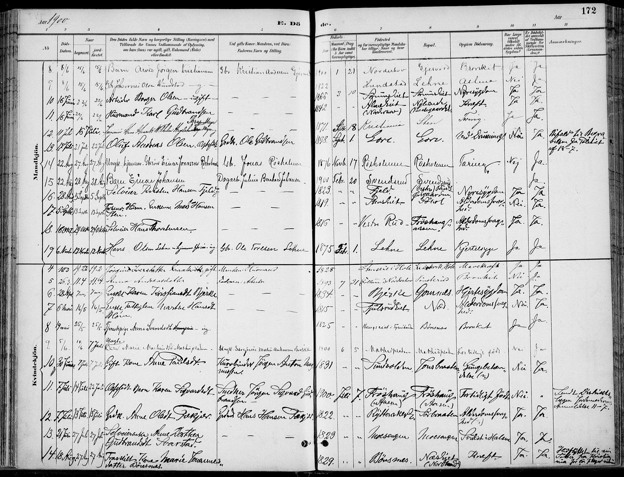 Hole kirkebøker, SAKO/A-228/F/Fa/L0009: Parish register (official) no. I 9, 1892-1907, p. 172
