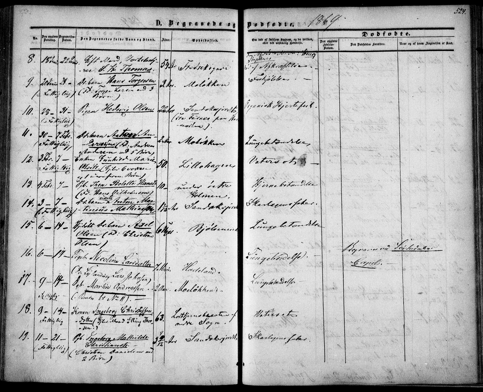 Vestre Aker prestekontor Kirkebøker, SAO/A-10025/F/Fa/L0002: Parish register (official) no. 2, 1855-1877, p. 524