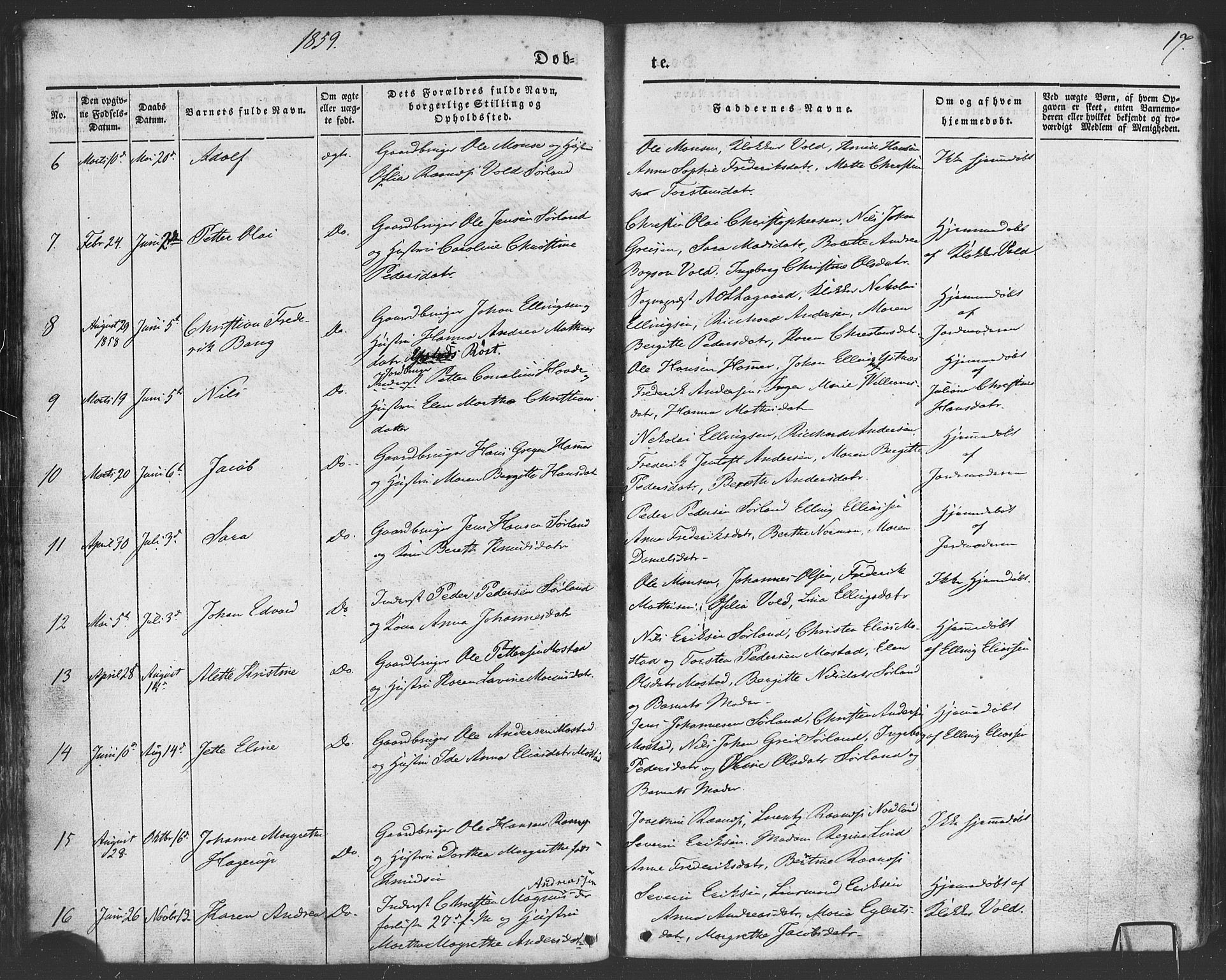 Ministerialprotokoller, klokkerbøker og fødselsregistre - Nordland, AV/SAT-A-1459/807/L0121: Parish register (official) no. 807A04, 1846-1879, p. 17