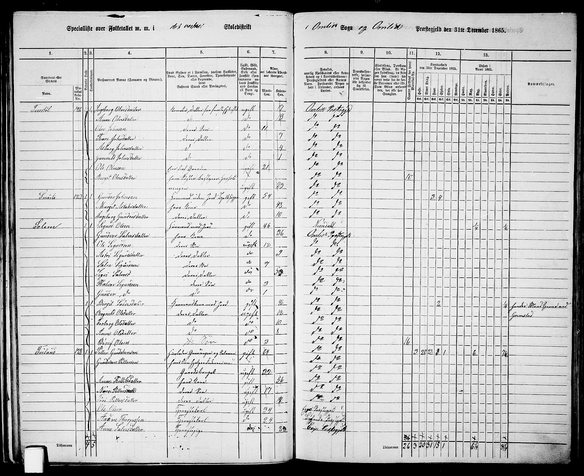 RA, 1865 census for Åmli, 1865, p. 41