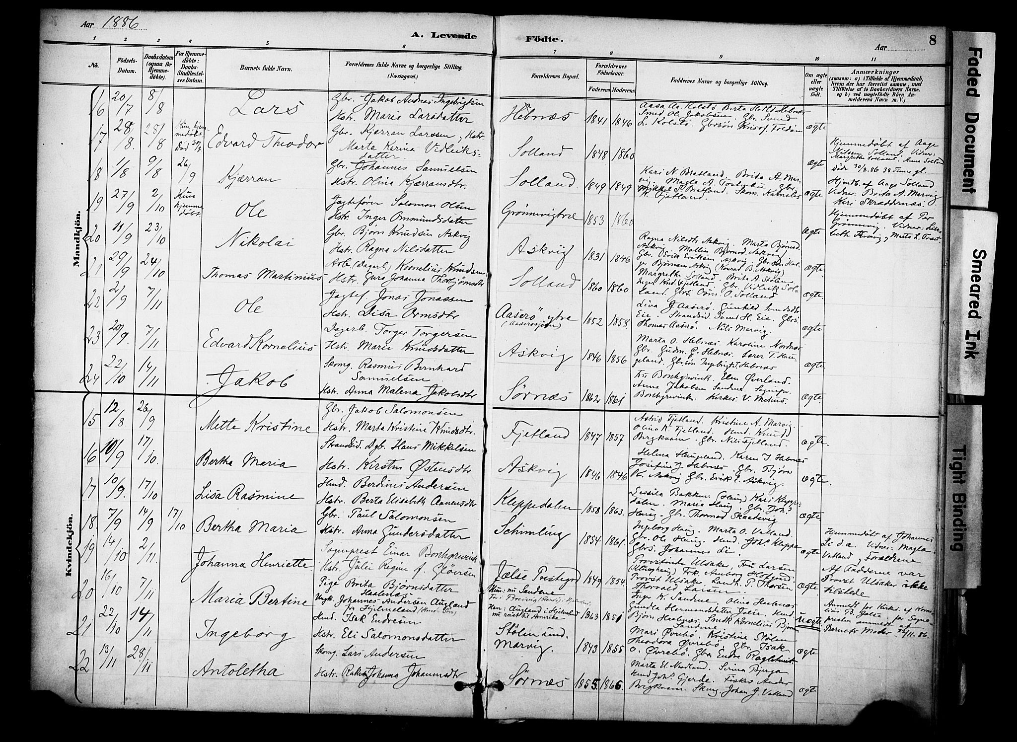 Jelsa sokneprestkontor, AV/SAST-A-101842/01/IV: Parish register (official) no. A 10, 1884-1906, p. 8