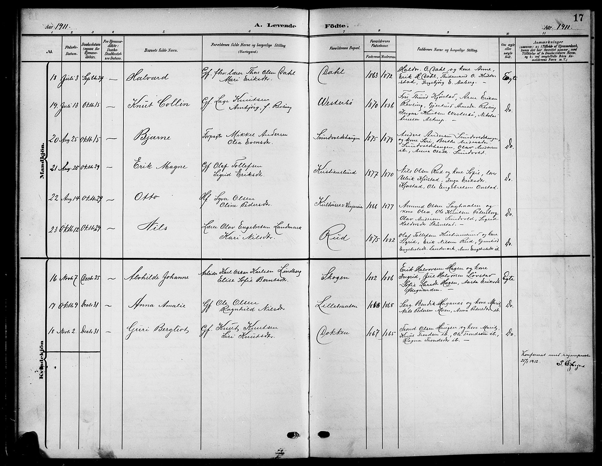 Nord-Aurdal prestekontor, SAH/PREST-132/H/Ha/Hab/L0012: Parish register (copy) no. 12, 1907-1920, p. 17