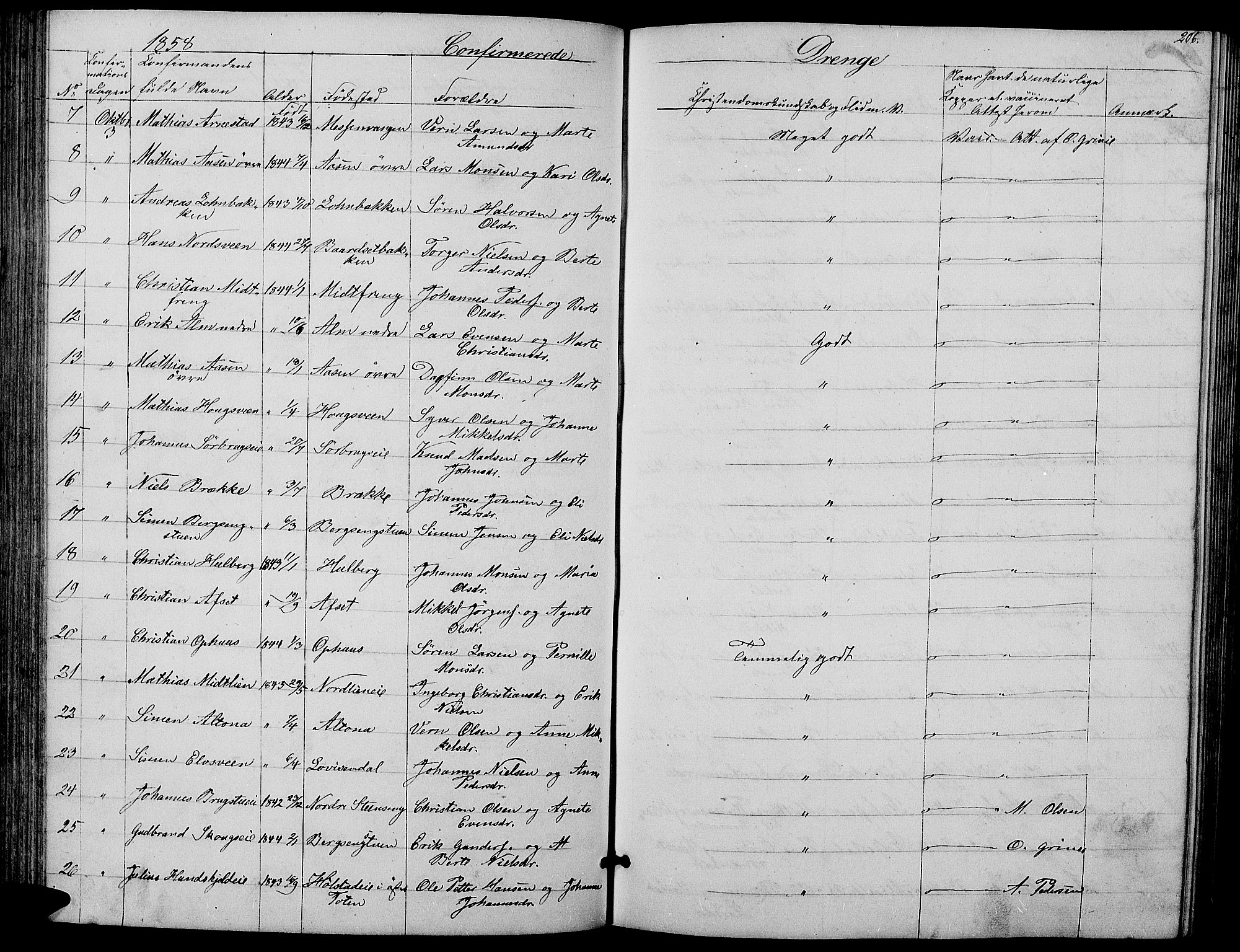 Ringsaker prestekontor, AV/SAH-PREST-014/L/La/L0006: Parish register (copy) no. 6, 1851-1860, p. 206