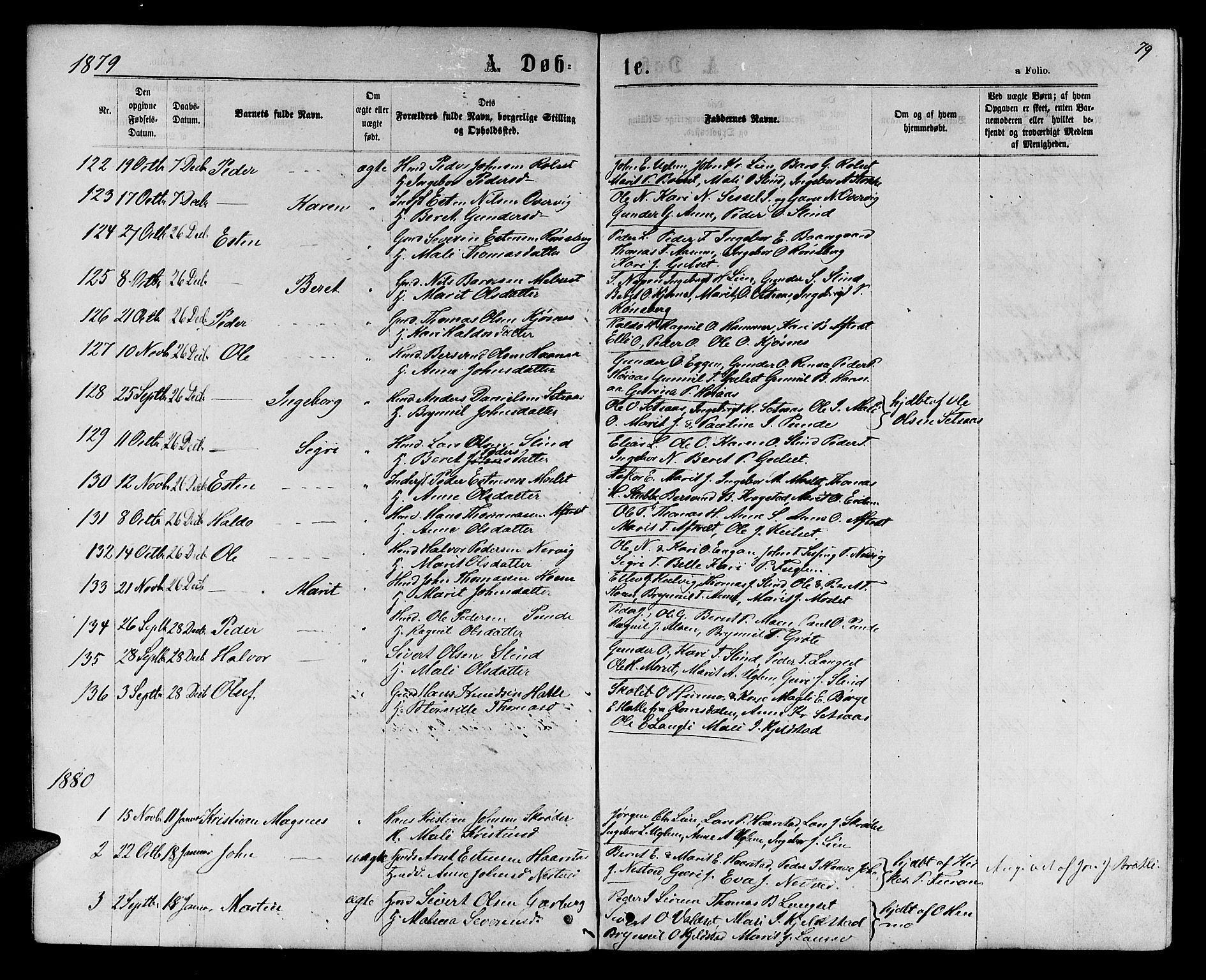 Ministerialprotokoller, klokkerbøker og fødselsregistre - Sør-Trøndelag, SAT/A-1456/695/L1156: Parish register (copy) no. 695C07, 1869-1888, p. 79
