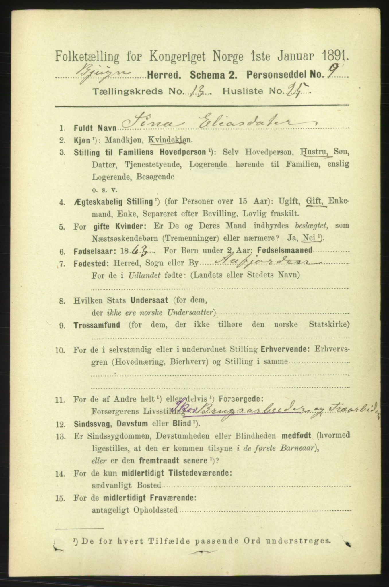 RA, 1891 census for 1627 Bjugn, 1891, p. 3919