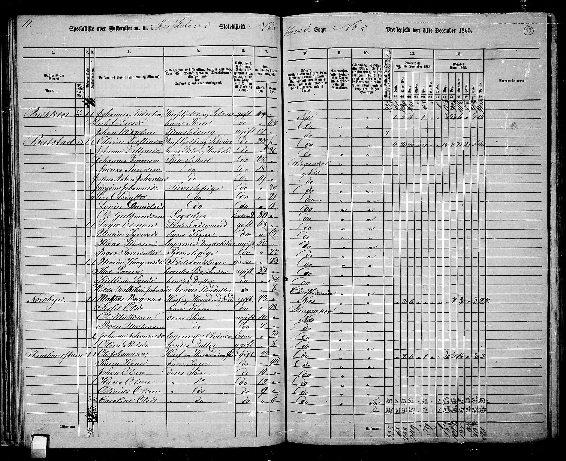 RA, 1865 census for Nes, 1865, p. 56