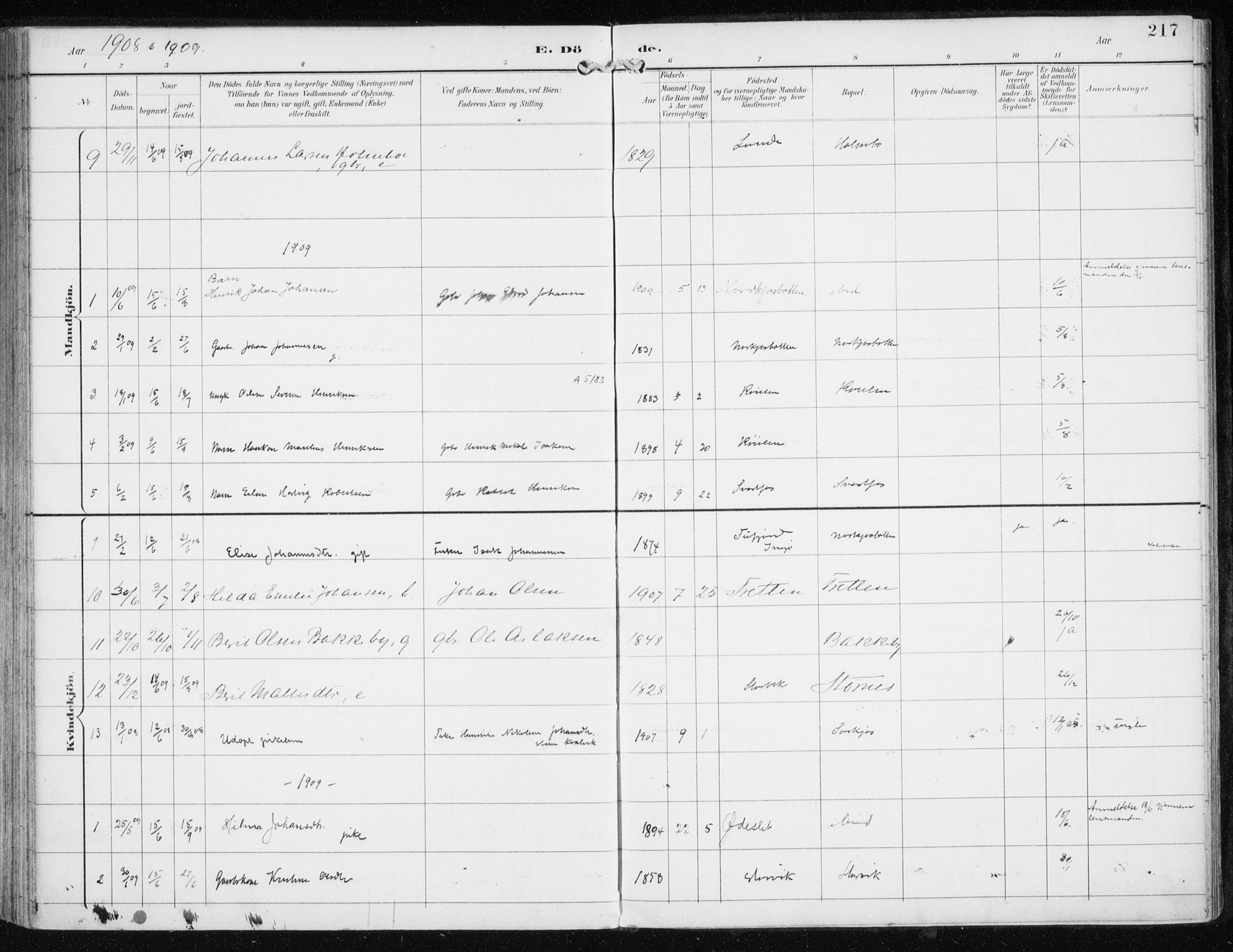 Skjervøy sokneprestkontor, SATØ/S-1300/H/Ha/Haa/L0017kirke: Parish register (official) no. 17, 1895-1911, p. 217