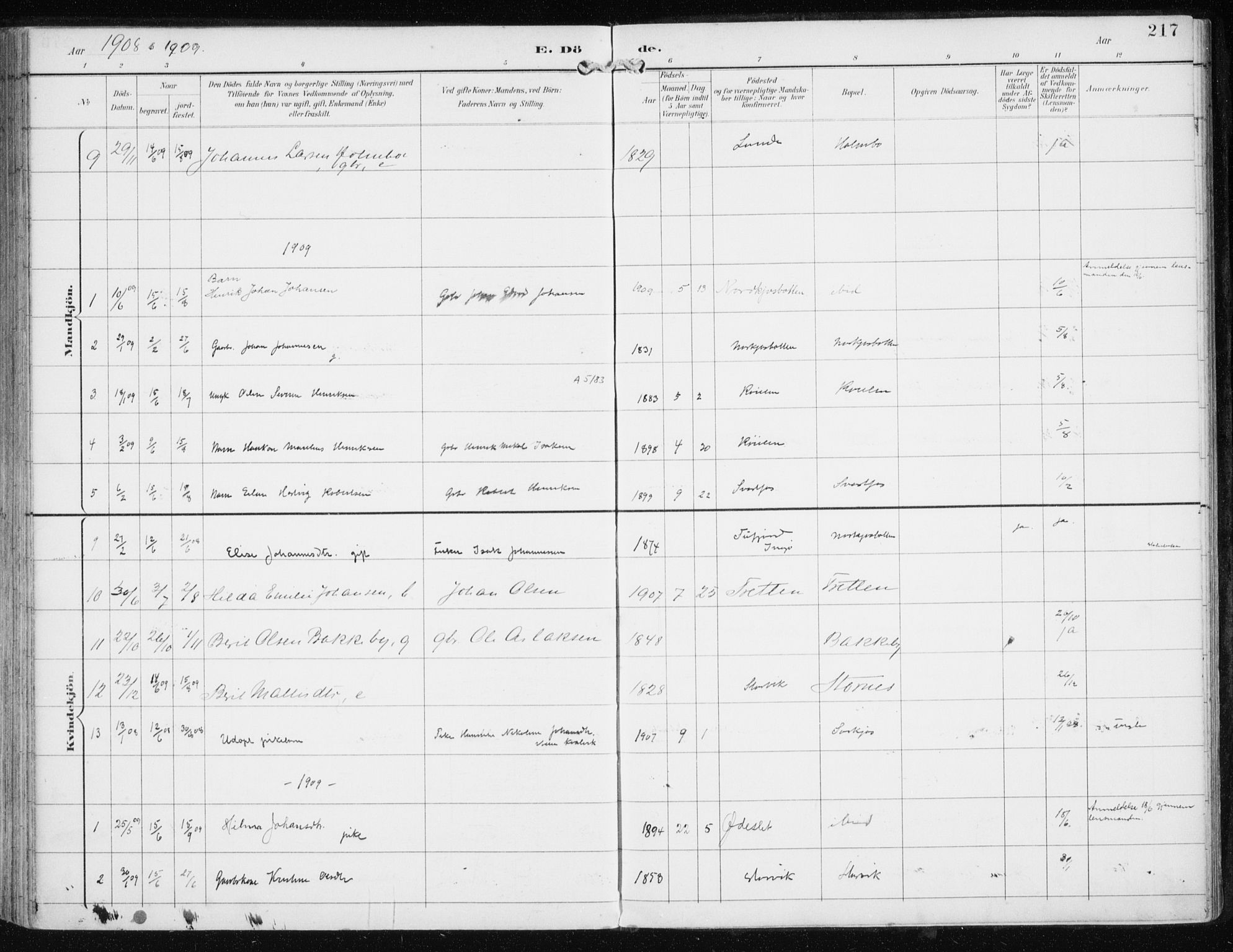 Skjervøy sokneprestkontor, AV/SATØ-S-1300/H/Ha/Haa/L0017kirke: Parish register (official) no. 17, 1895-1911, p. 217