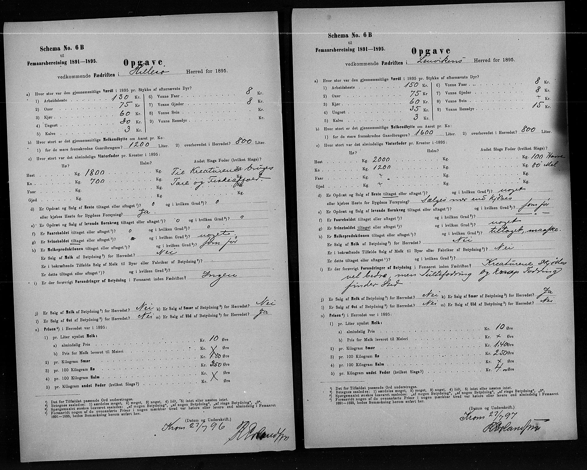 Statistisk sentralbyrå, Næringsøkonomiske emner, Generelt - Amtmennenes femårsberetninger, AV/RA-S-2233/F/Fa/L0080: --, 1895, p. 246