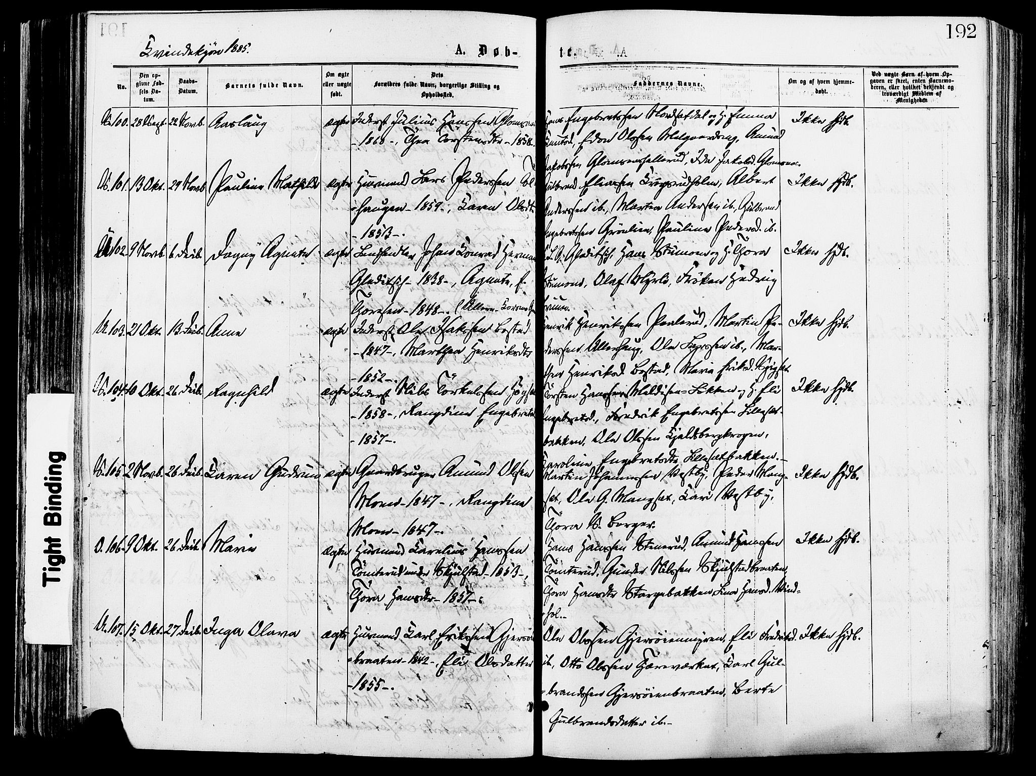 Sør-Odal prestekontor, SAH/PREST-030/H/Ha/Haa/L0005: Parish register (official) no. 5, 1876-1885, p. 192