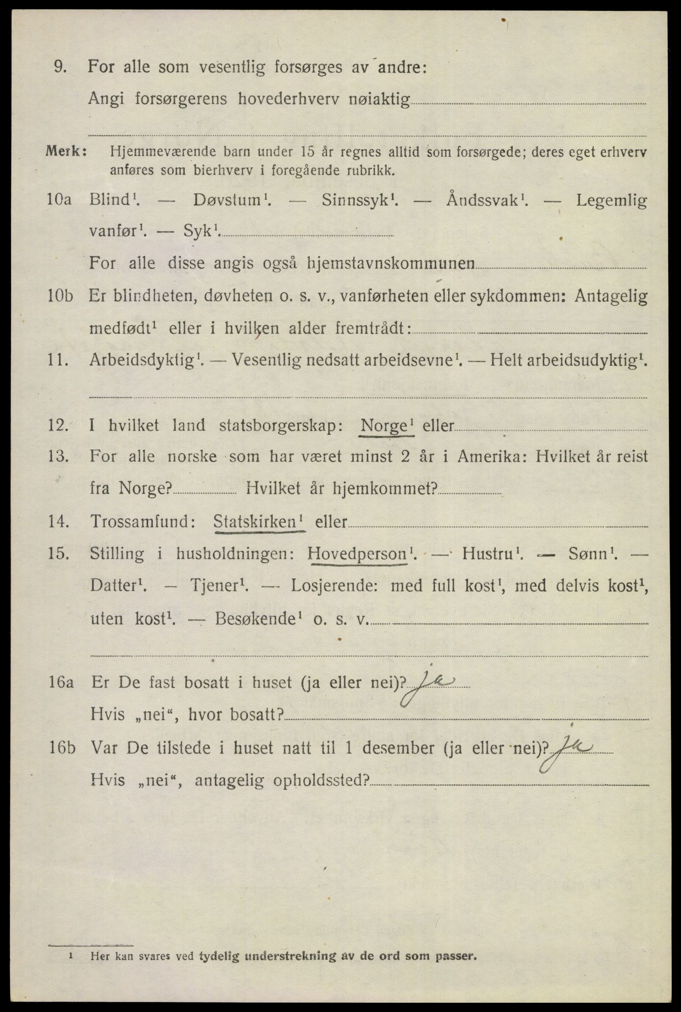 SAKO, 1920 census for Ål, 1920, p. 3911