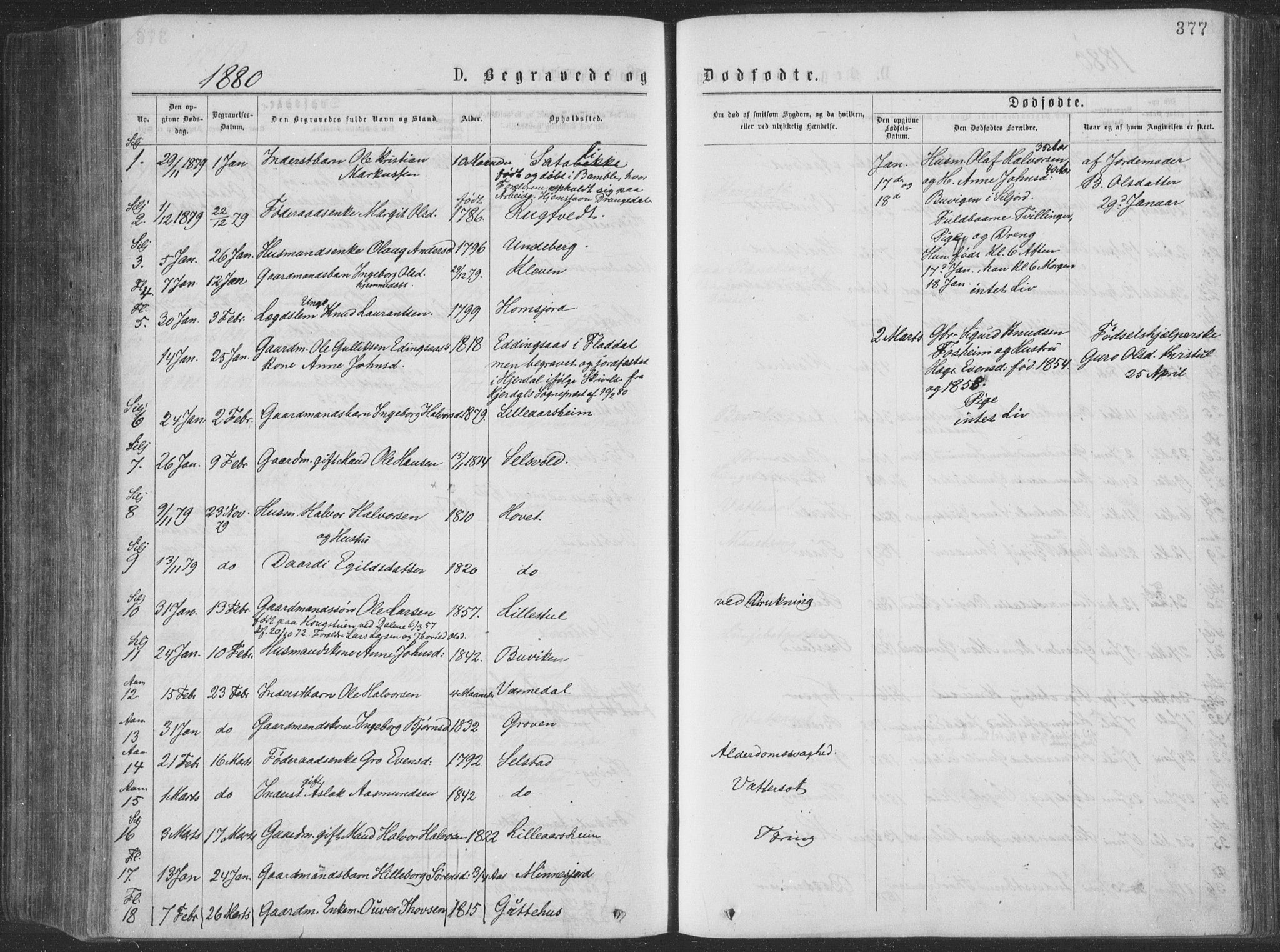 Seljord kirkebøker, SAKO/A-20/F/Fa/L0014: Parish register (official) no. I 14, 1877-1886, p. 377