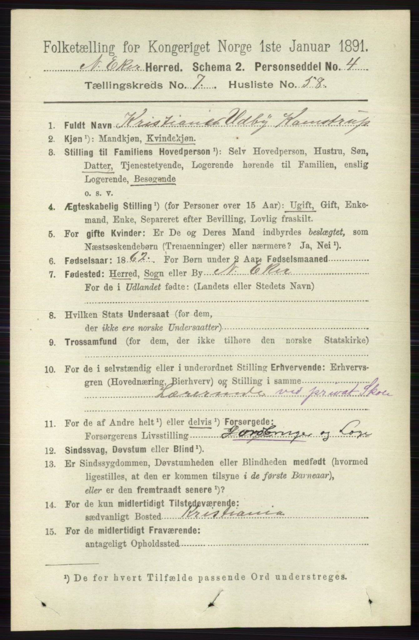 RA, 1891 census for 0625 Nedre Eiker, 1891, p. 3819
