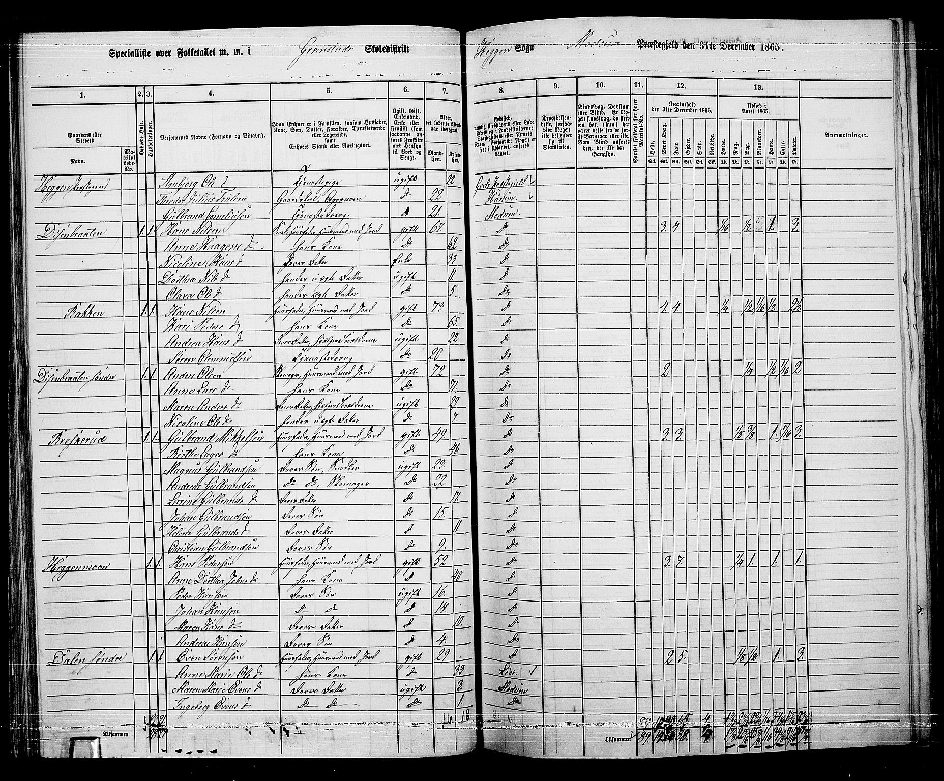 RA, 1865 census for Modum, 1865, p. 57