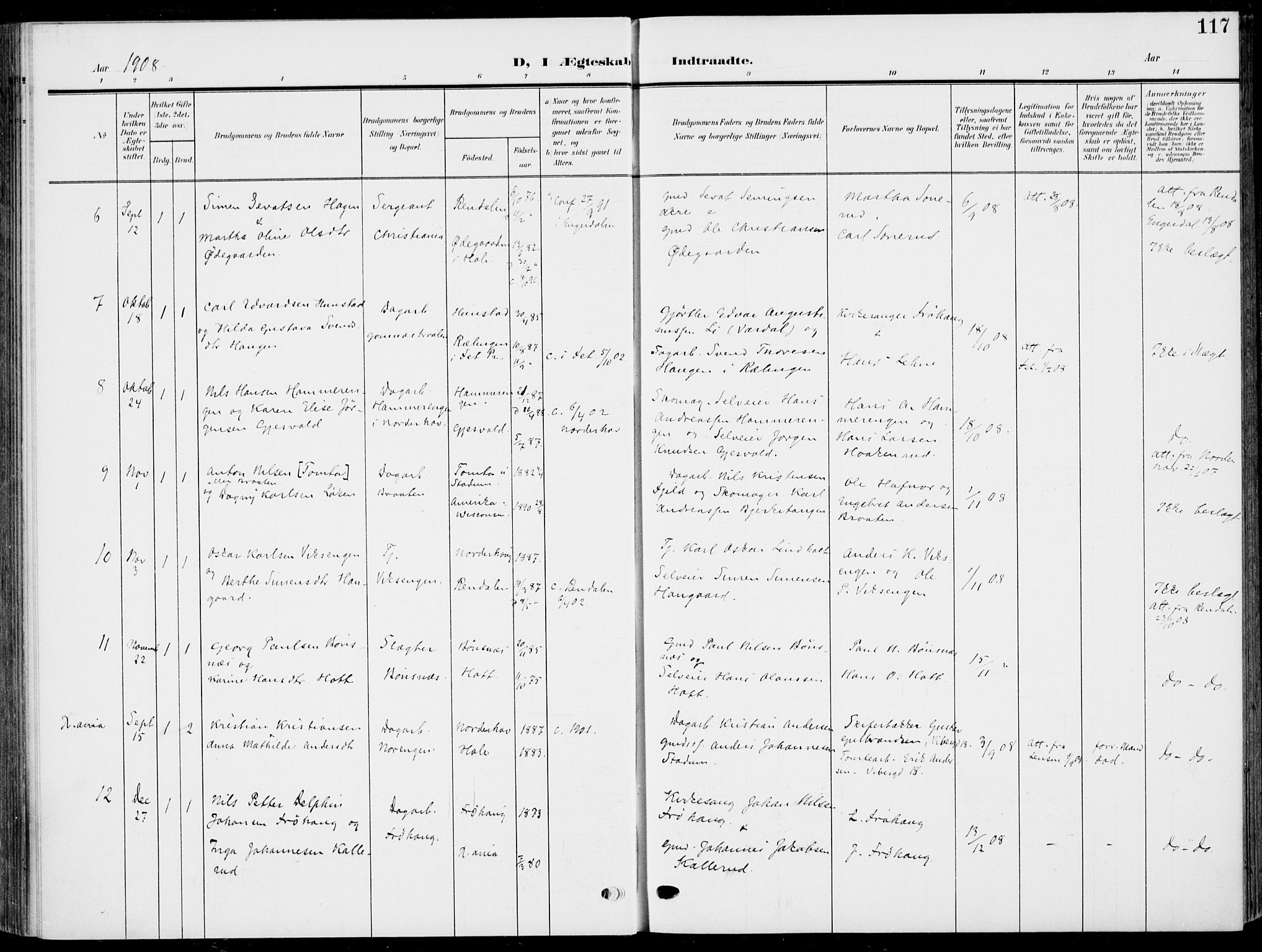 Hole kirkebøker, AV/SAKO-A-228/F/Fa/L0010: Parish register (official) no. I 10, 1907-1917, p. 117