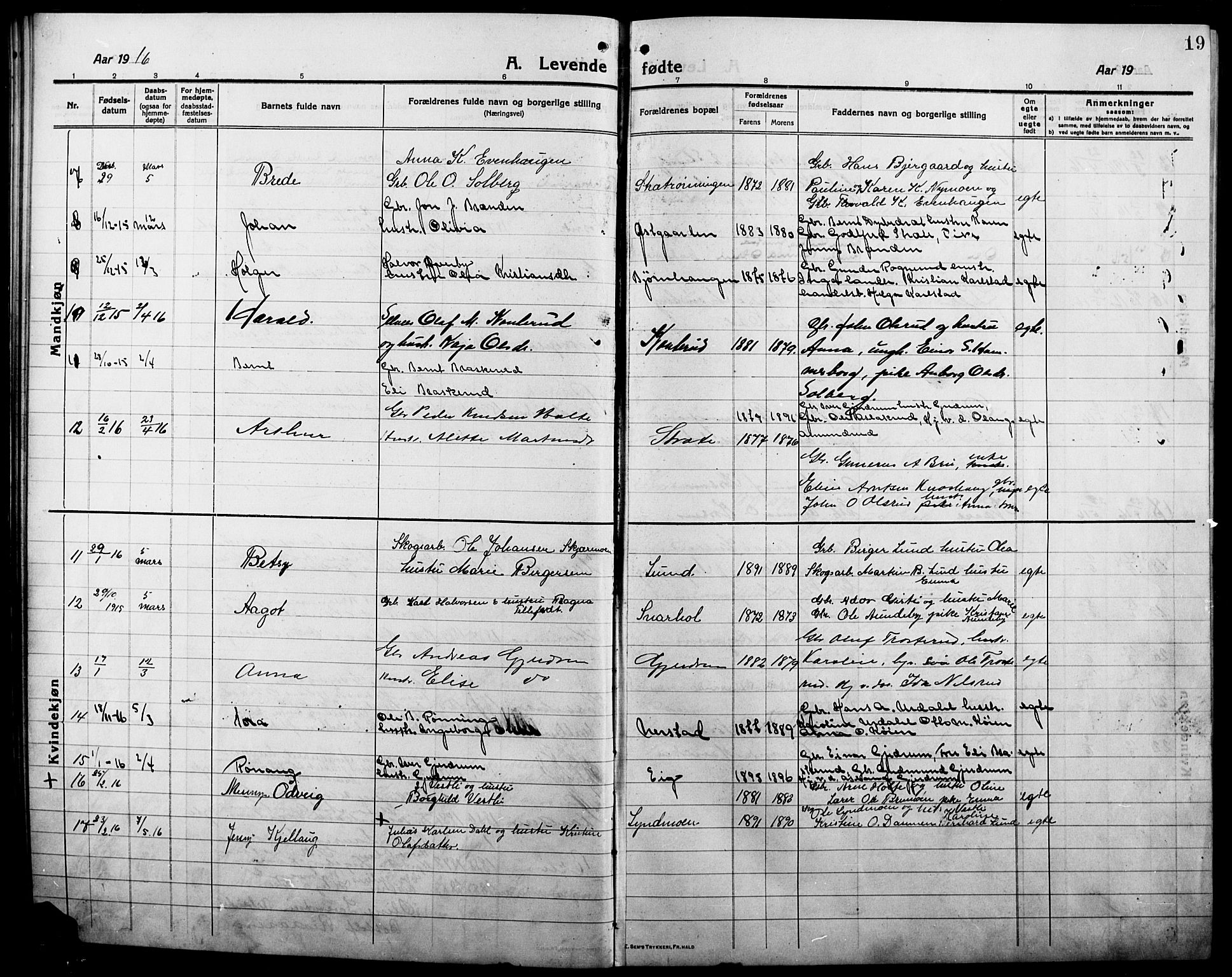 Våler prestekontor, Hedmark, AV/SAH-PREST-040/H/Ha/Hab/L0003: Parish register (copy) no. 3, 1914-1921, p. 19
