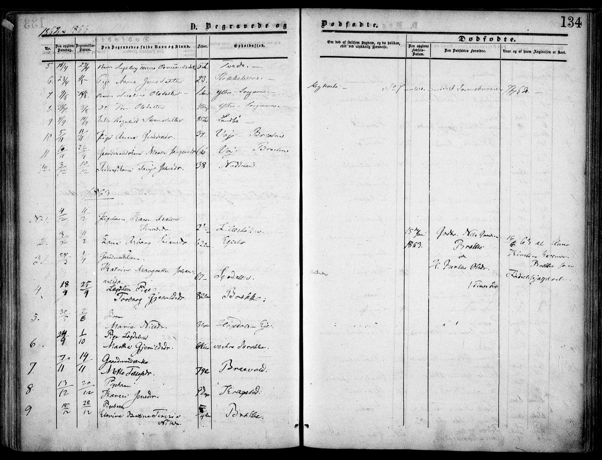 Austre Moland sokneprestkontor, AV/SAK-1111-0001/F/Fa/Faa/L0008: Parish register (official) no. A 8, 1858-1868, p. 134