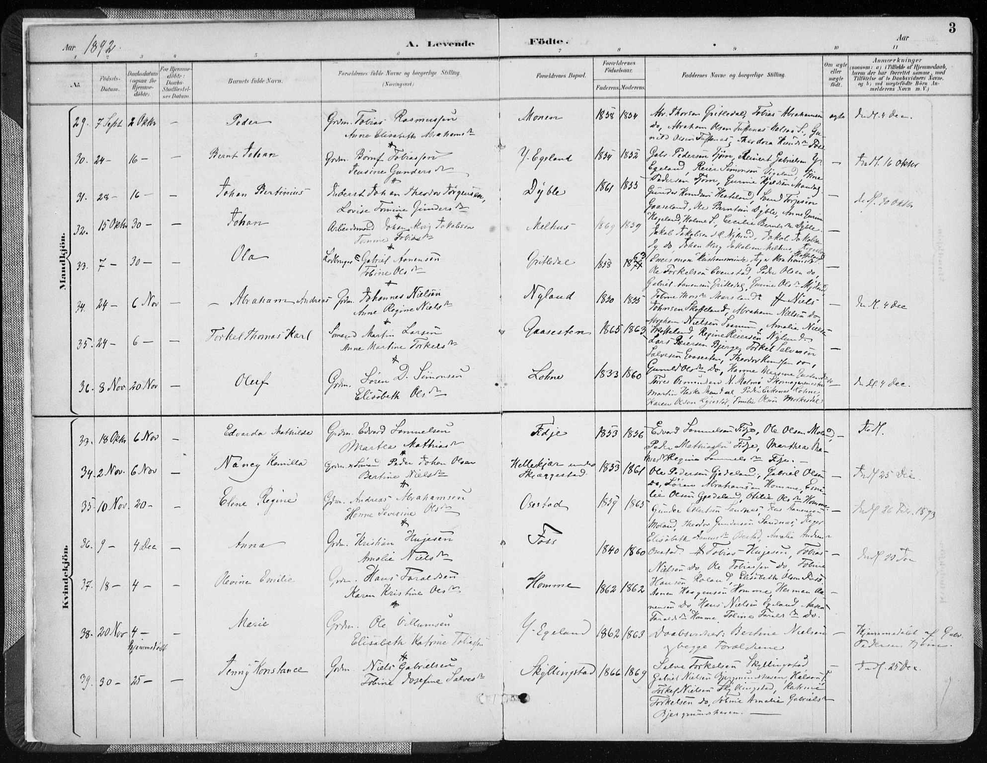 Sør-Audnedal sokneprestkontor, AV/SAK-1111-0039/F/Fa/Fab/L0010: Parish register (official) no. A 10, 1892-1913, p. 3