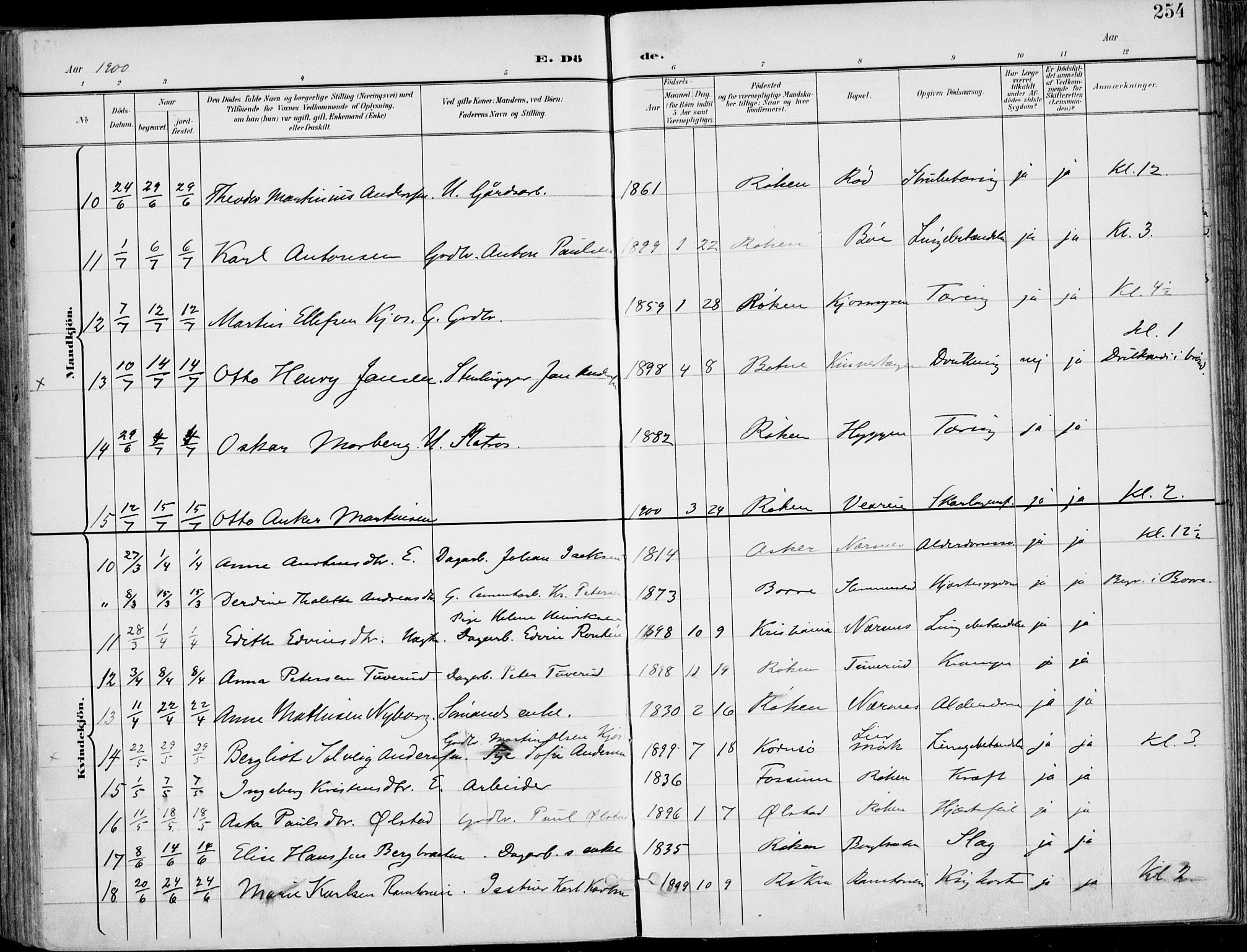 Røyken kirkebøker, AV/SAKO-A-241/F/Fa/L0009: Parish register (official) no. 9, 1898-1911, p. 254