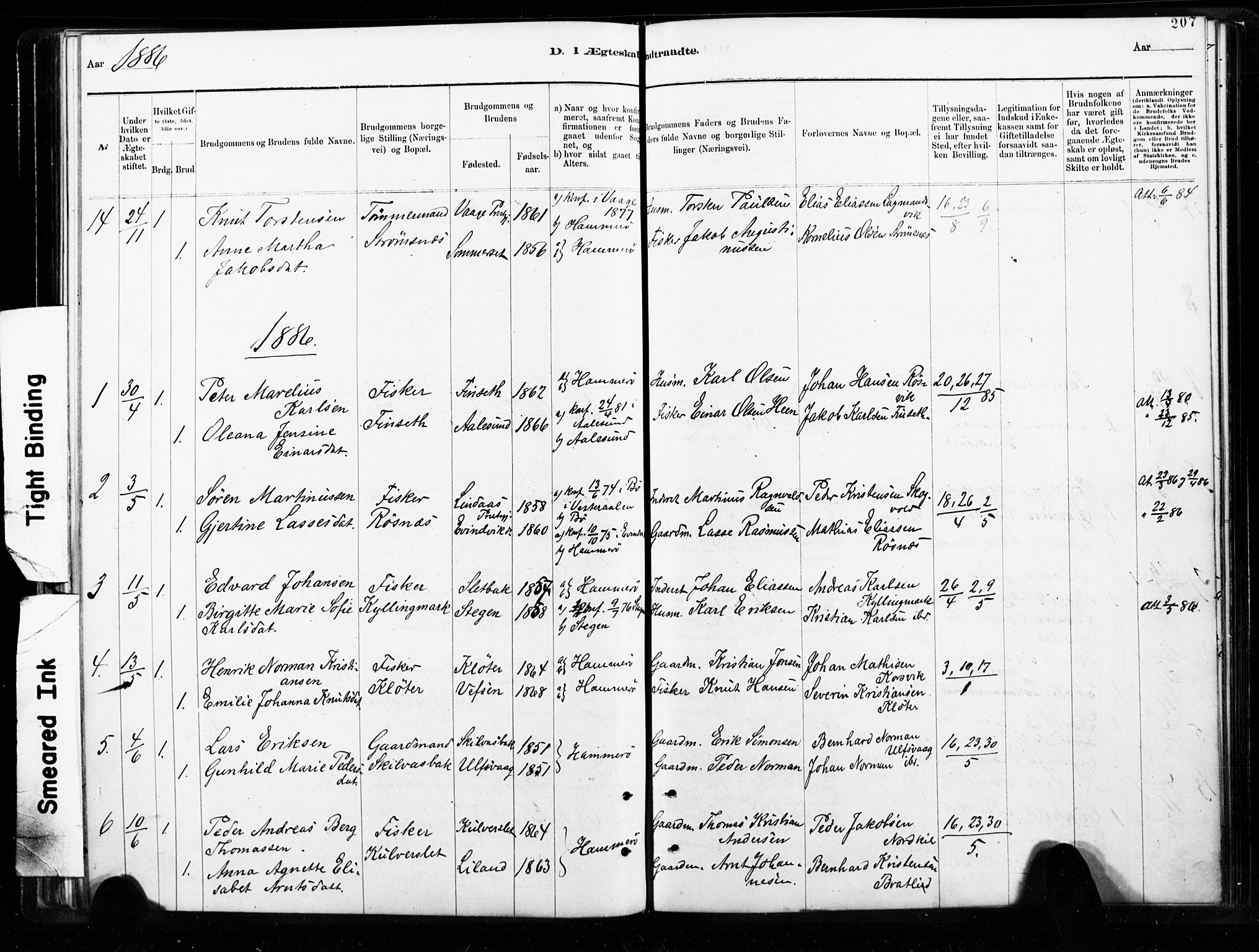 Ministerialprotokoller, klokkerbøker og fødselsregistre - Nordland, AV/SAT-A-1459/859/L0846: Parish register (official) no. 859A06, 1878-1889, p. 207