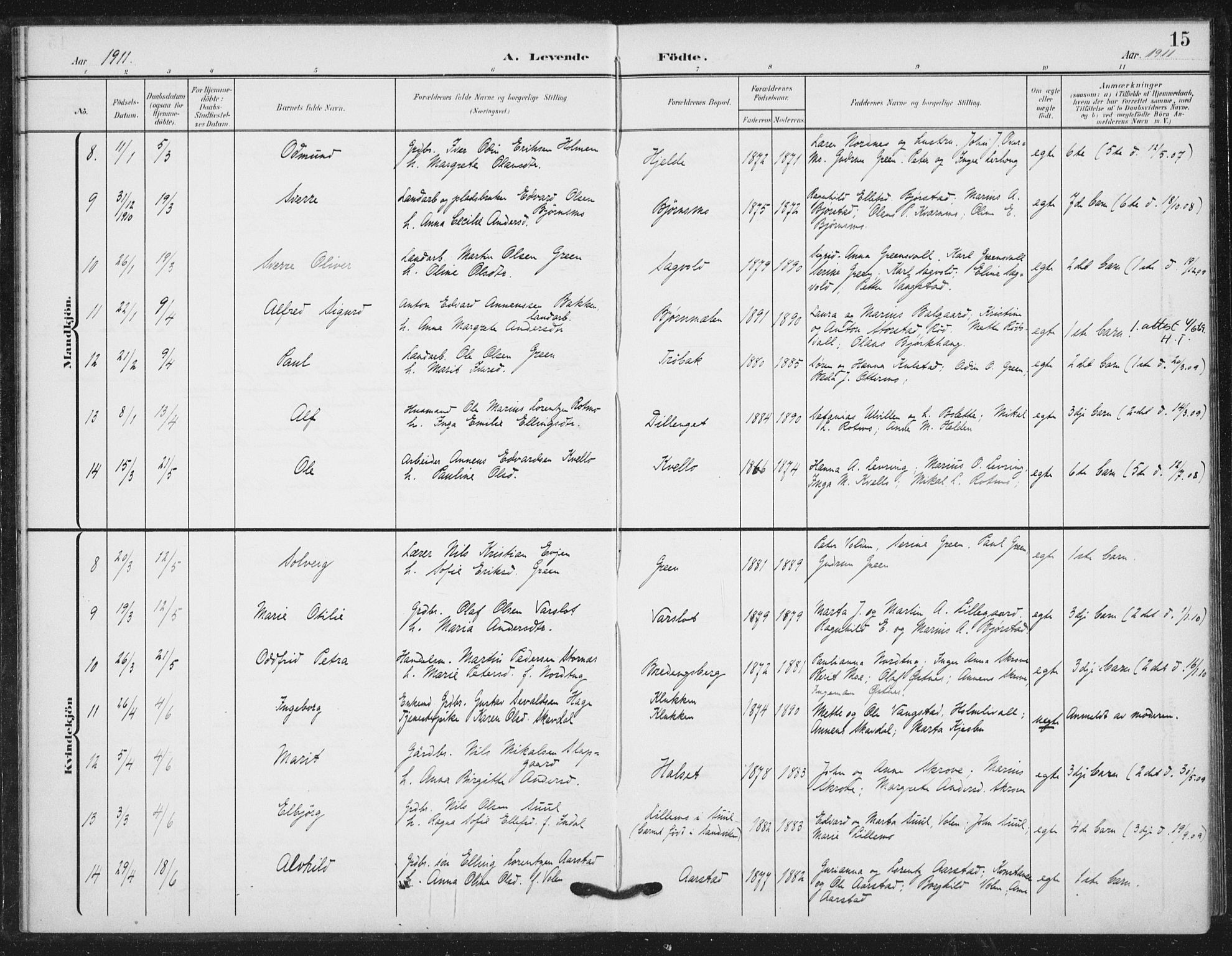 Ministerialprotokoller, klokkerbøker og fødselsregistre - Nord-Trøndelag, SAT/A-1458/724/L0264: Parish register (official) no. 724A02, 1908-1915, p. 15