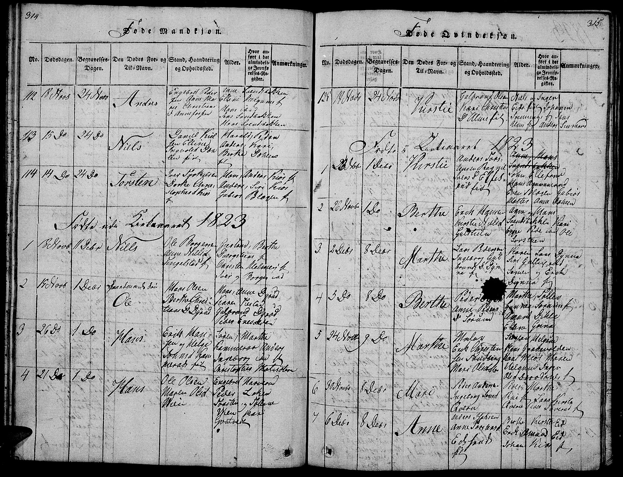 Gran prestekontor, SAH/PREST-112/H/Ha/Hab/L0001: Parish register (copy) no. 1, 1815-1824, p. 314-315