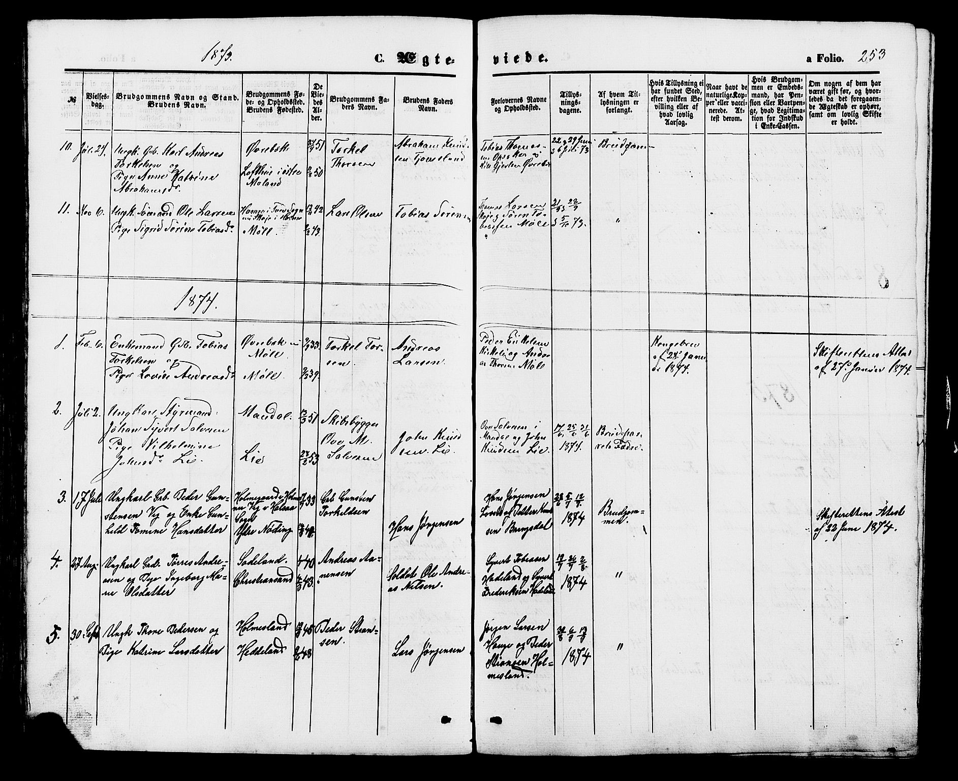 Holum sokneprestkontor, AV/SAK-1111-0022/F/Fb/Fba/L0004: Parish register (copy) no. B 4, 1867-1890, p. 253