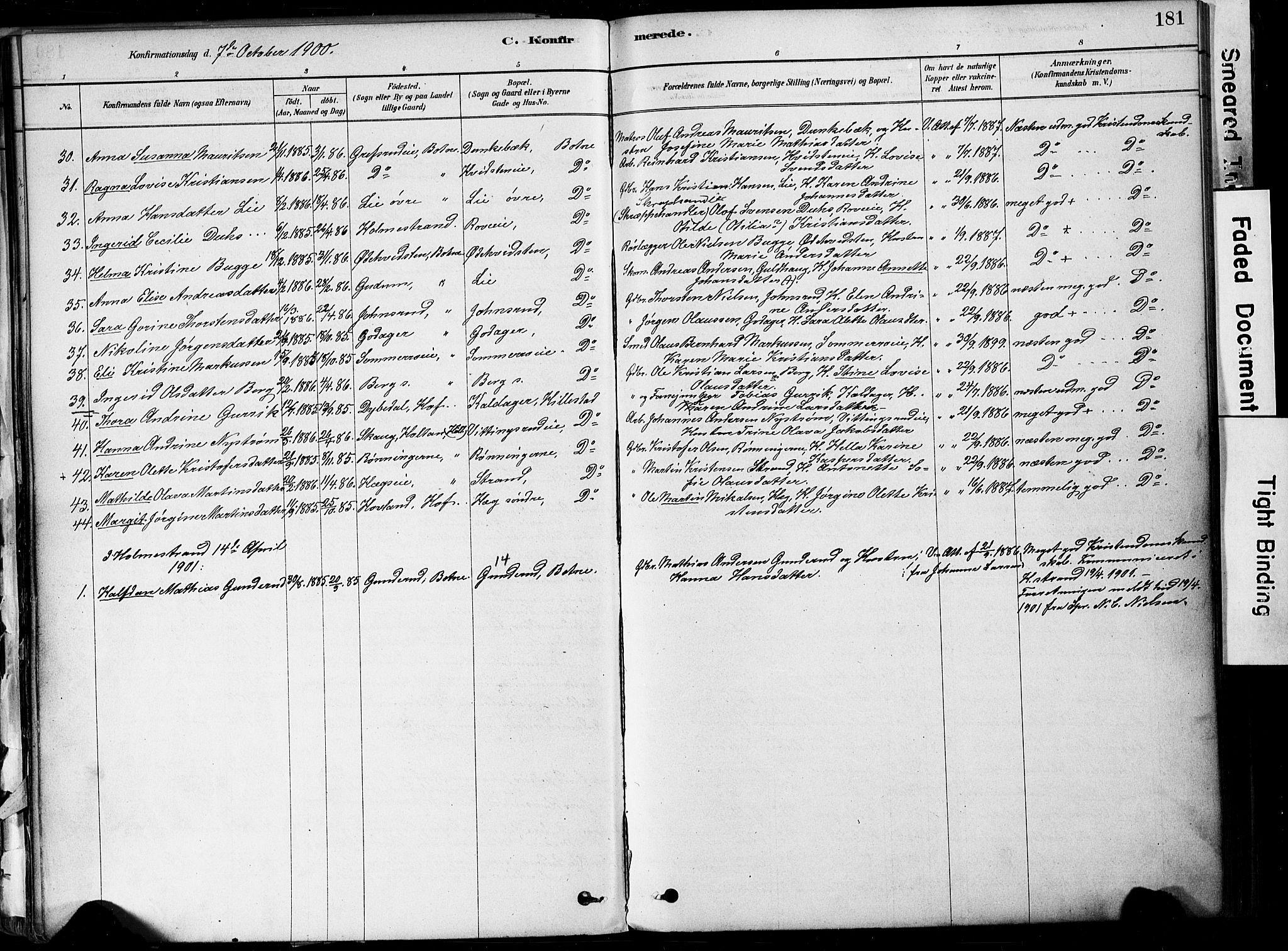 Botne kirkebøker, AV/SAKO-A-340/F/Fa/L0007: Parish register (official) no. I 7, 1878-1910, p. 181