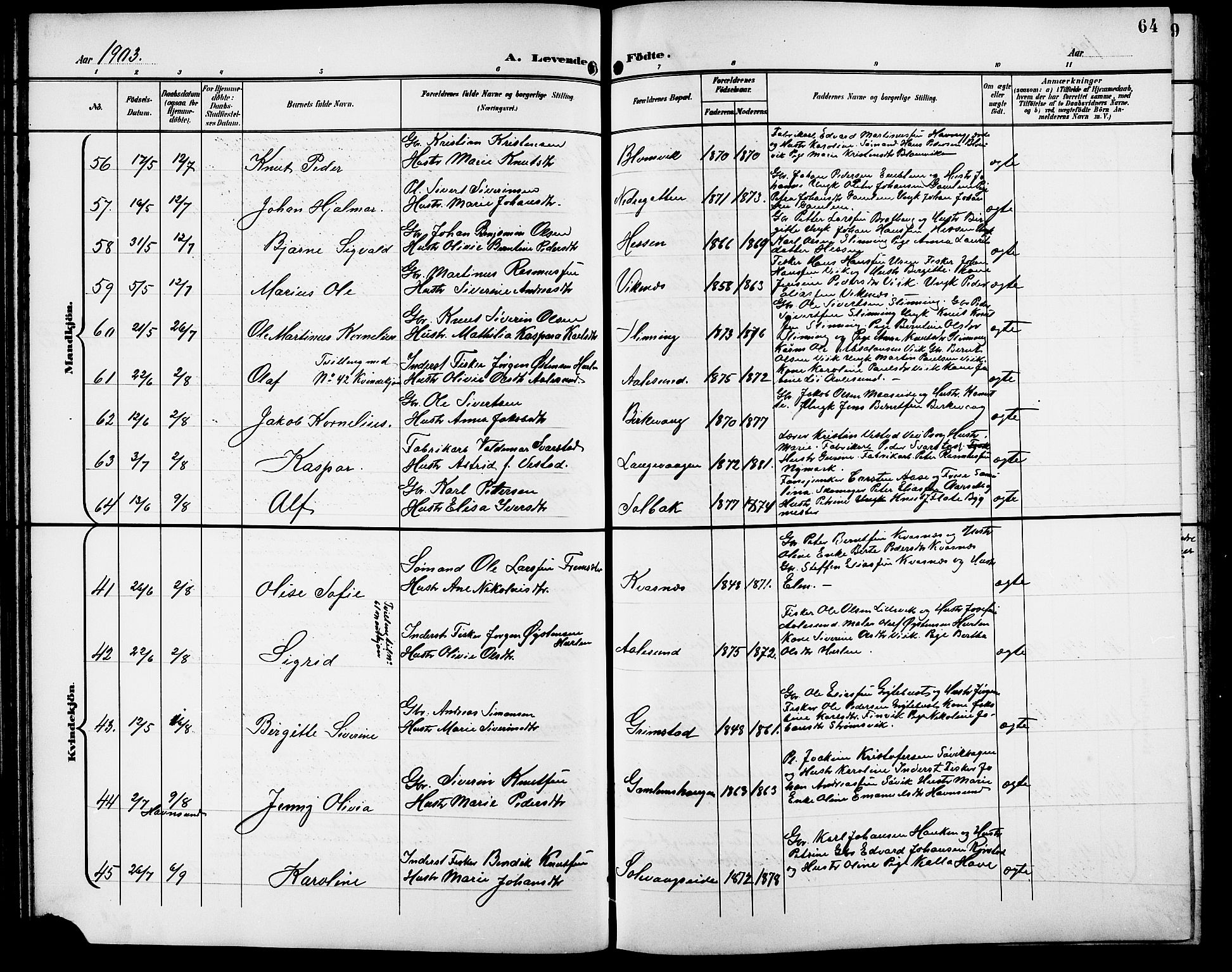 Ministerialprotokoller, klokkerbøker og fødselsregistre - Møre og Romsdal, AV/SAT-A-1454/528/L0432: Parish register (copy) no. 528C13, 1898-1918, p. 64