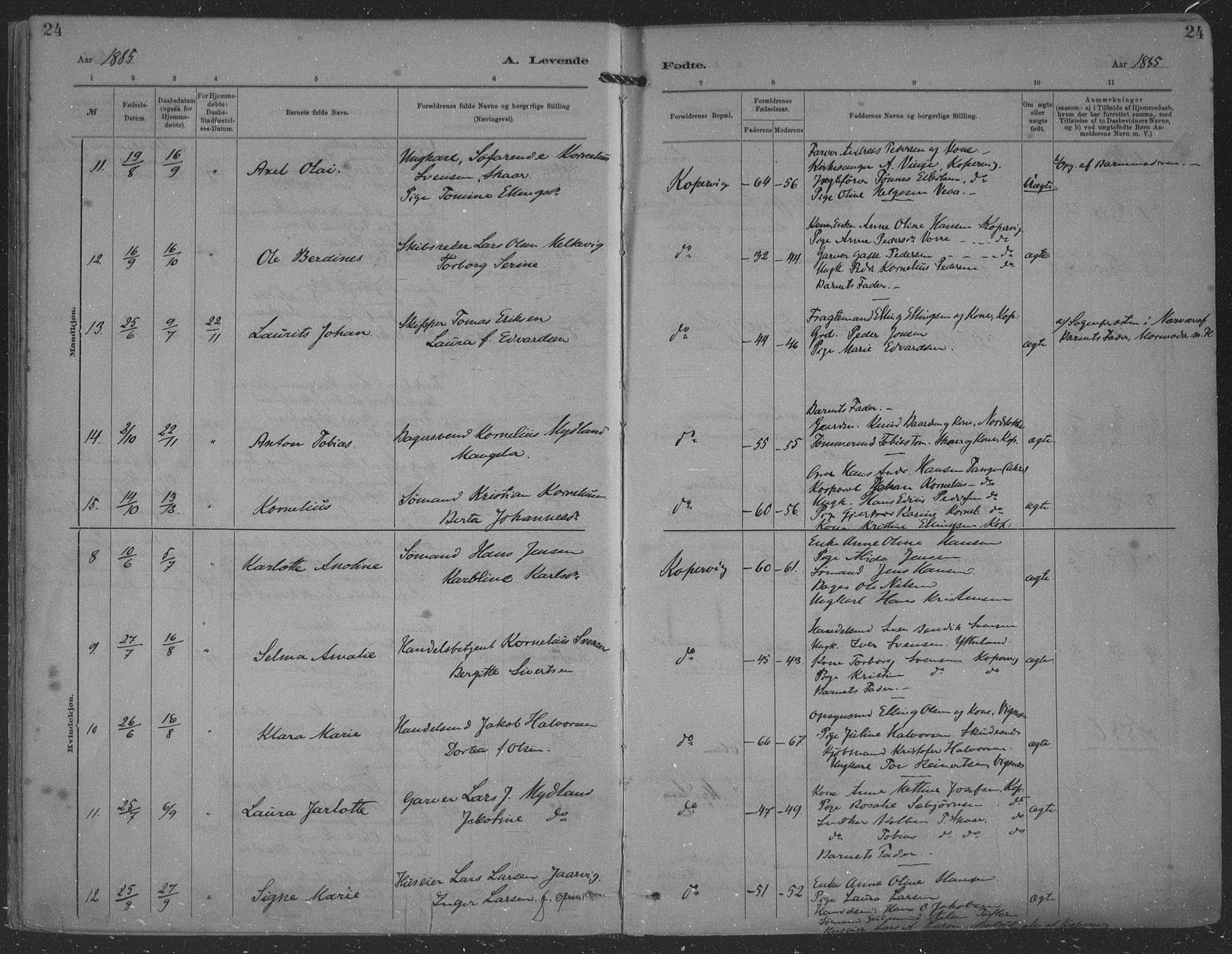 Kopervik sokneprestkontor, AV/SAST-A-101850/H/Ha/Haa/L0001: Parish register (official) no. A 1, 1880-1919, p. 24