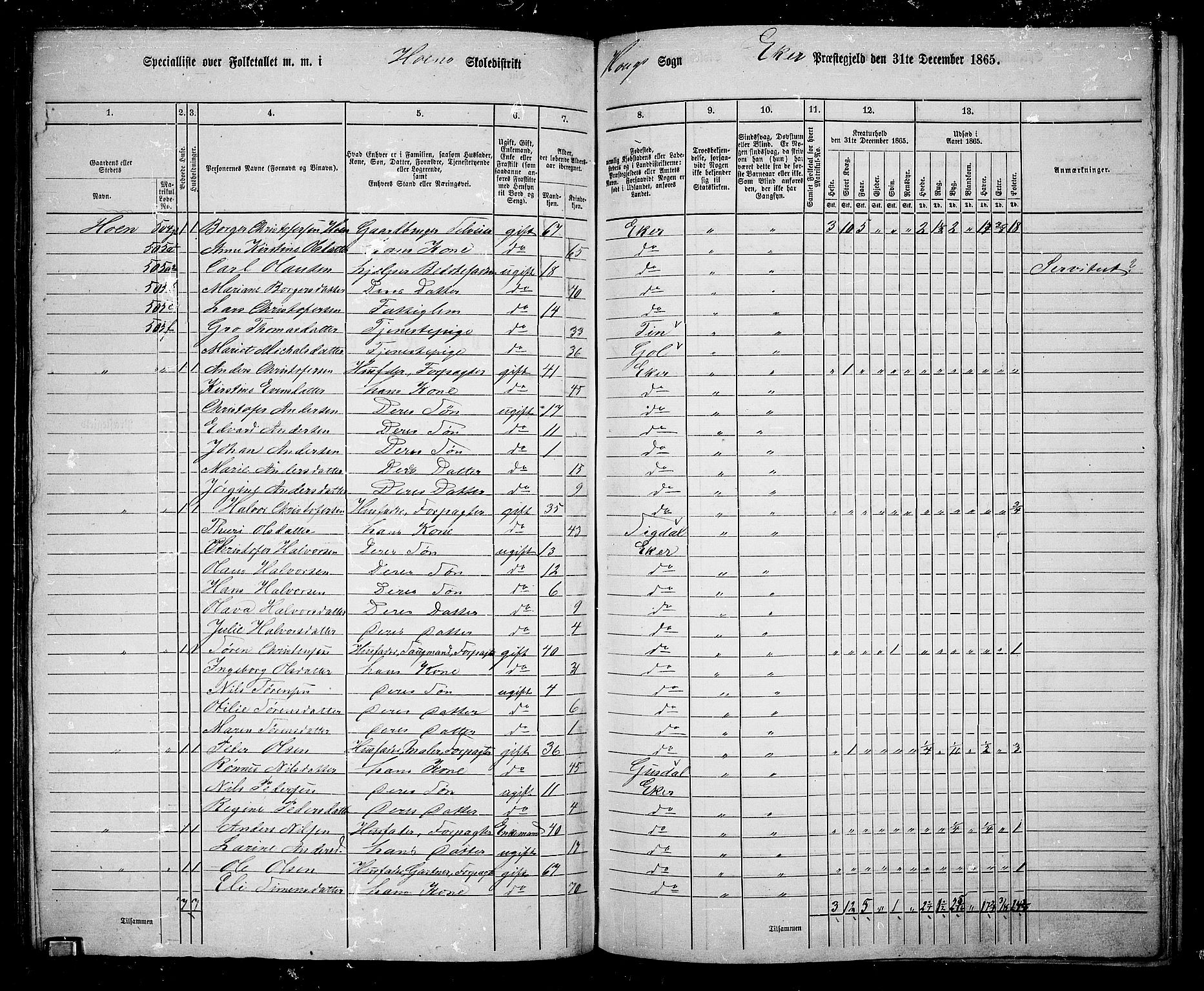 RA, 1865 census for Eiker, 1865, p. 125