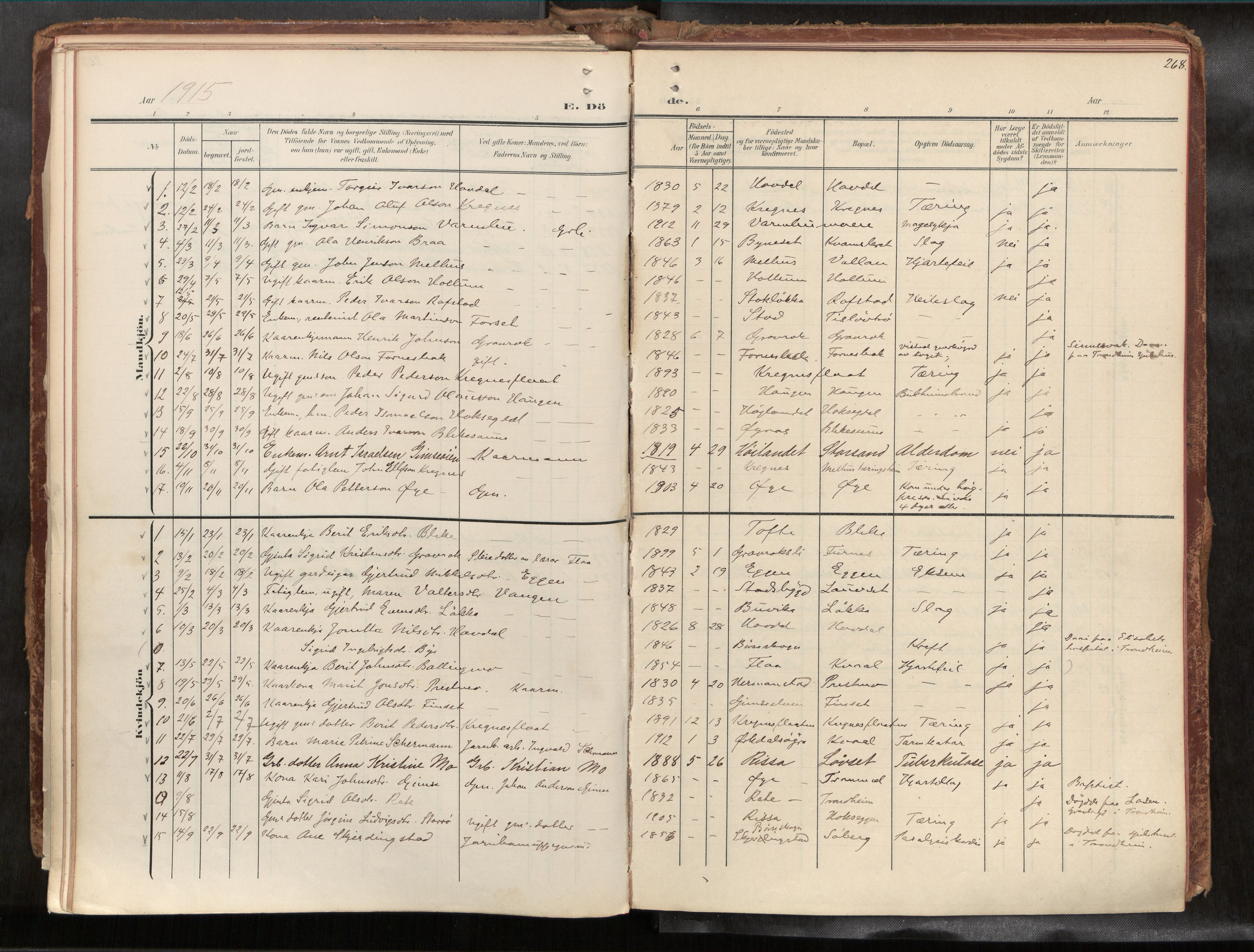 Ministerialprotokoller, klokkerbøker og fødselsregistre - Sør-Trøndelag, SAT/A-1456/691/L1085b: Parish register (official) no. 691A18, 1908-1930, p. 268