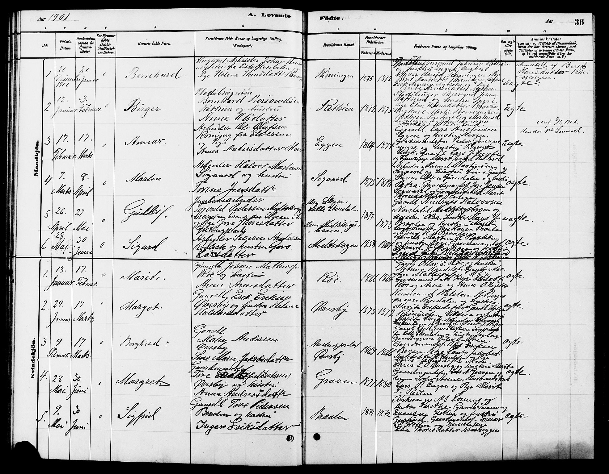 Tynset prestekontor, SAH/PREST-058/H/Ha/Hab/L0007: Parish register (copy) no. 7, 1880-1901, p. 36