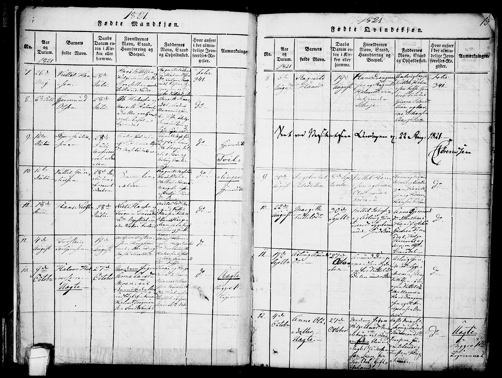 Hjartdal kirkebøker, AV/SAKO-A-270/F/Fb/L0001: Parish register (official) no. II 1, 1815-1843, p. 13