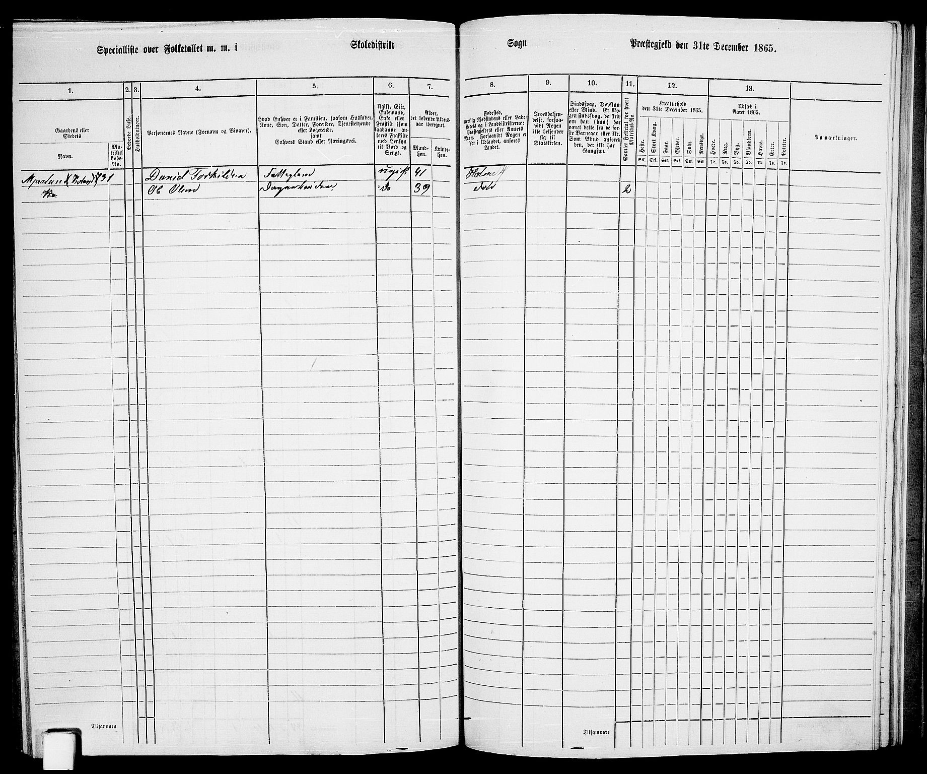 RA, 1865 census for Holum, 1865, p. 146