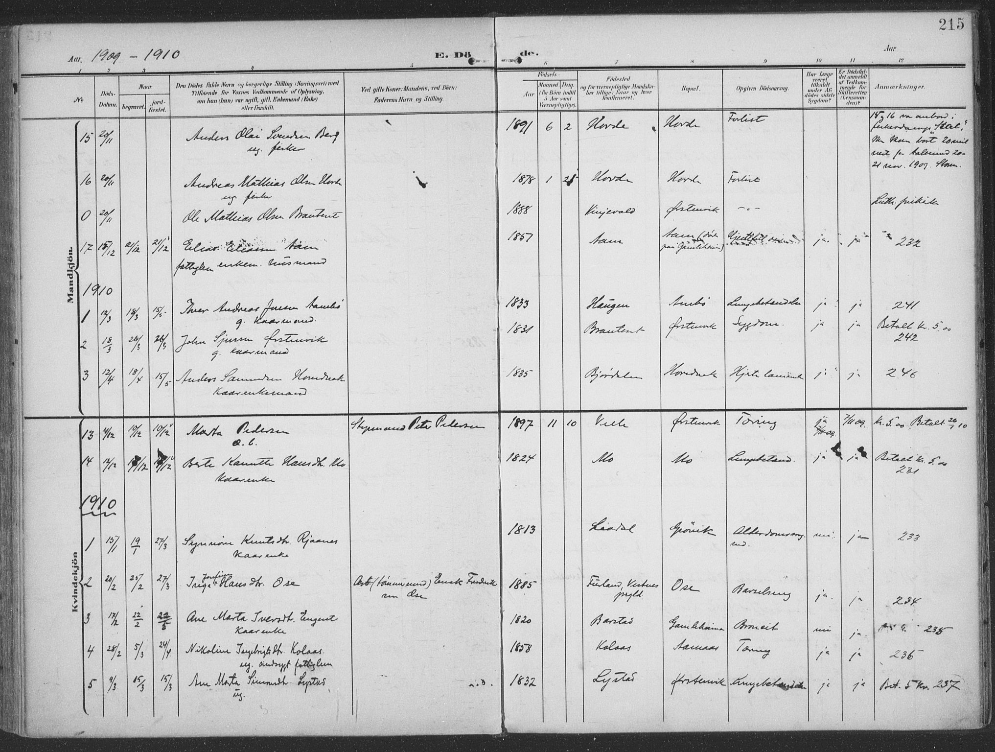 Ministerialprotokoller, klokkerbøker og fødselsregistre - Møre og Romsdal, SAT/A-1454/513/L0178: Parish register (official) no. 513A05, 1906-1919, p. 215