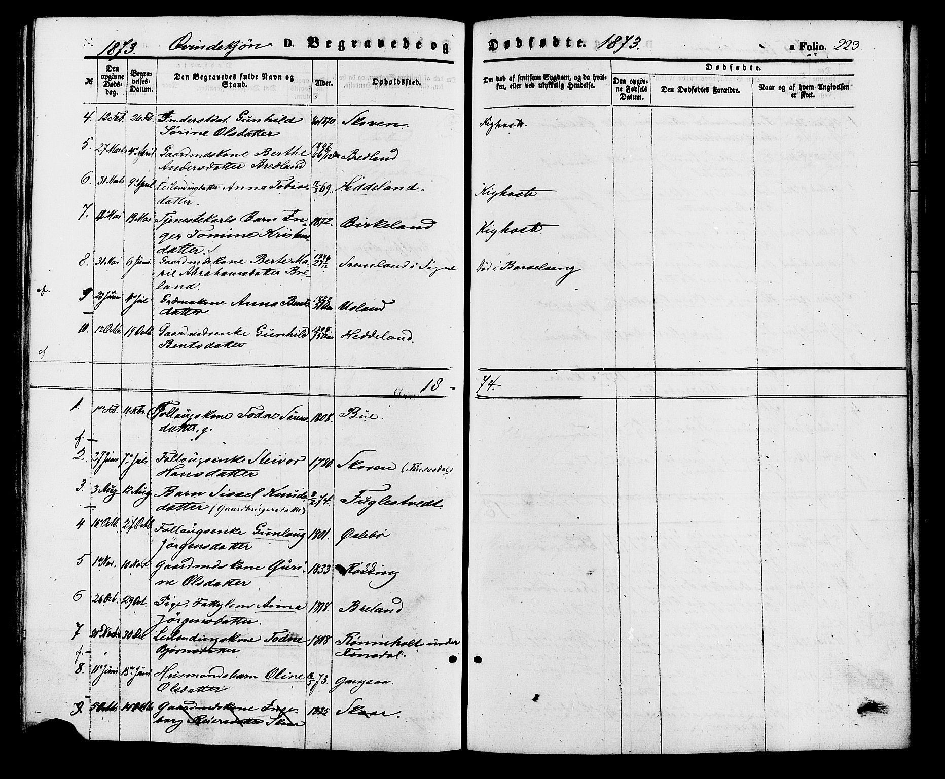 Holum sokneprestkontor, SAK/1111-0022/F/Fa/Fac/L0003: Parish register (official) no. A 3, 1860-1883, p. 223
