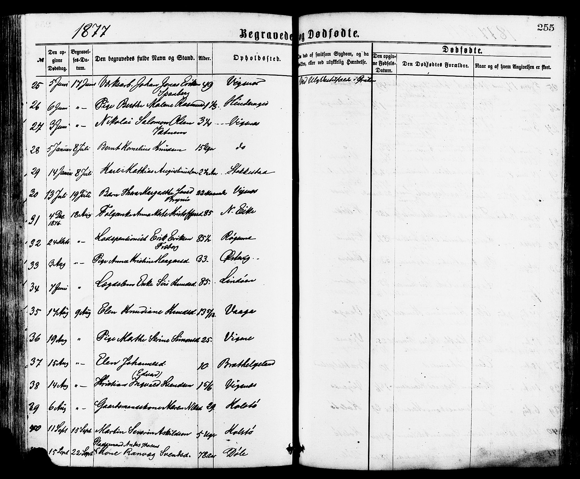 Avaldsnes sokneprestkontor, AV/SAST-A -101851/H/Ha/Haa/L0012: Parish register (official) no. A 12, 1865-1880, p. 255