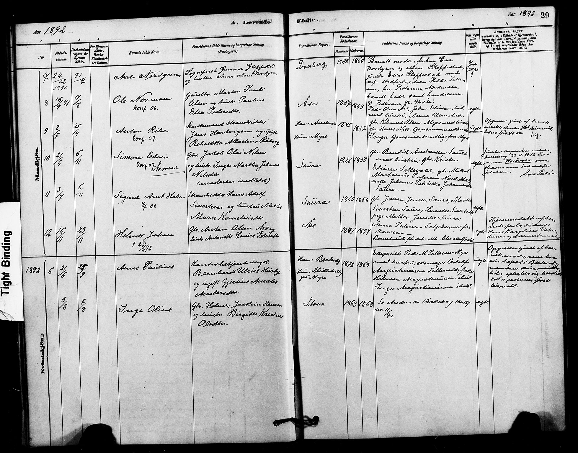 Ministerialprotokoller, klokkerbøker og fødselsregistre - Nordland, AV/SAT-A-1459/897/L1399: Parish register (official) no. 897C06, 1881-1896, p. 29