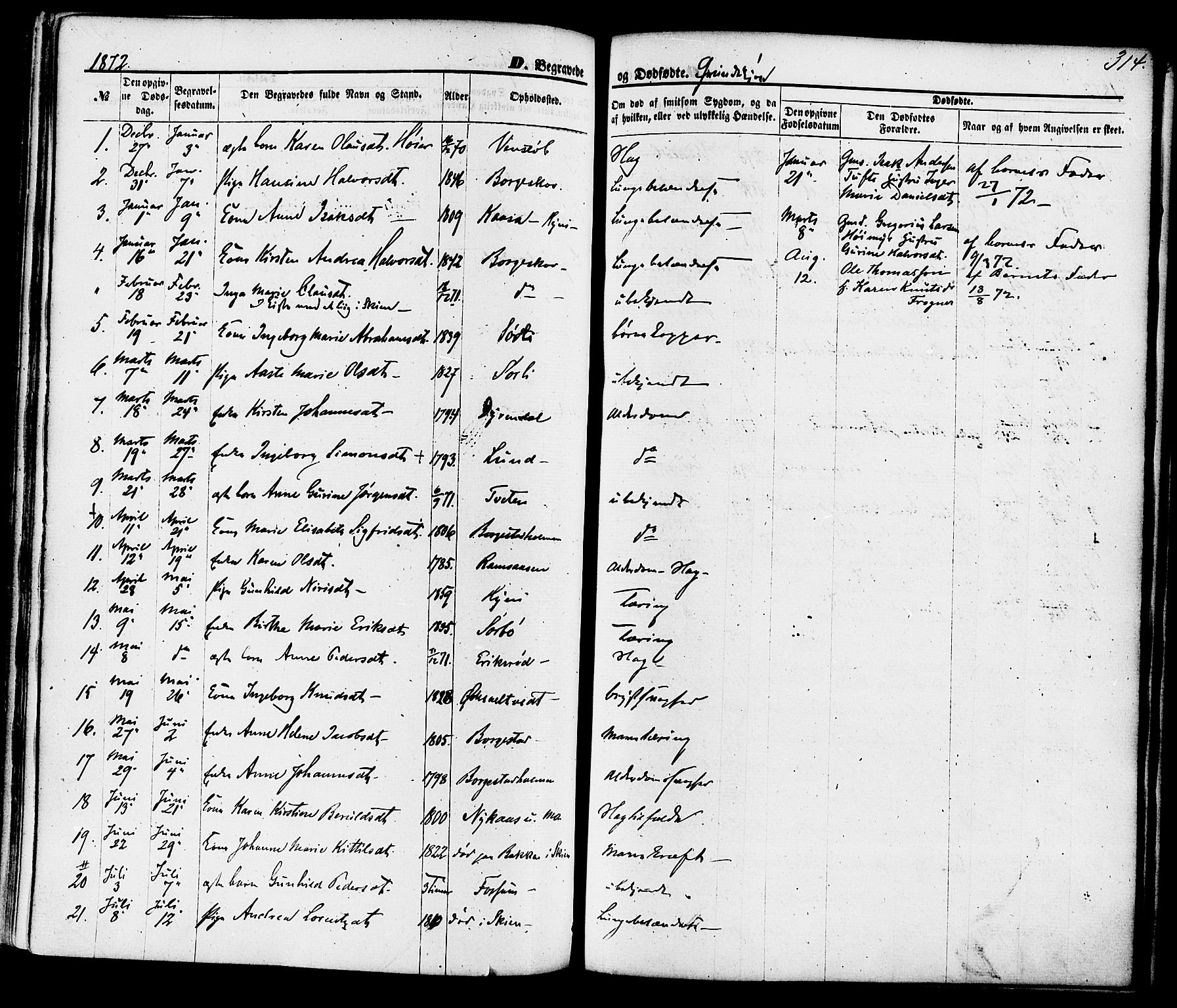 Gjerpen kirkebøker, SAKO/A-265/F/Fa/L0009: Parish register (official) no. I 9, 1872-1885, p. 314