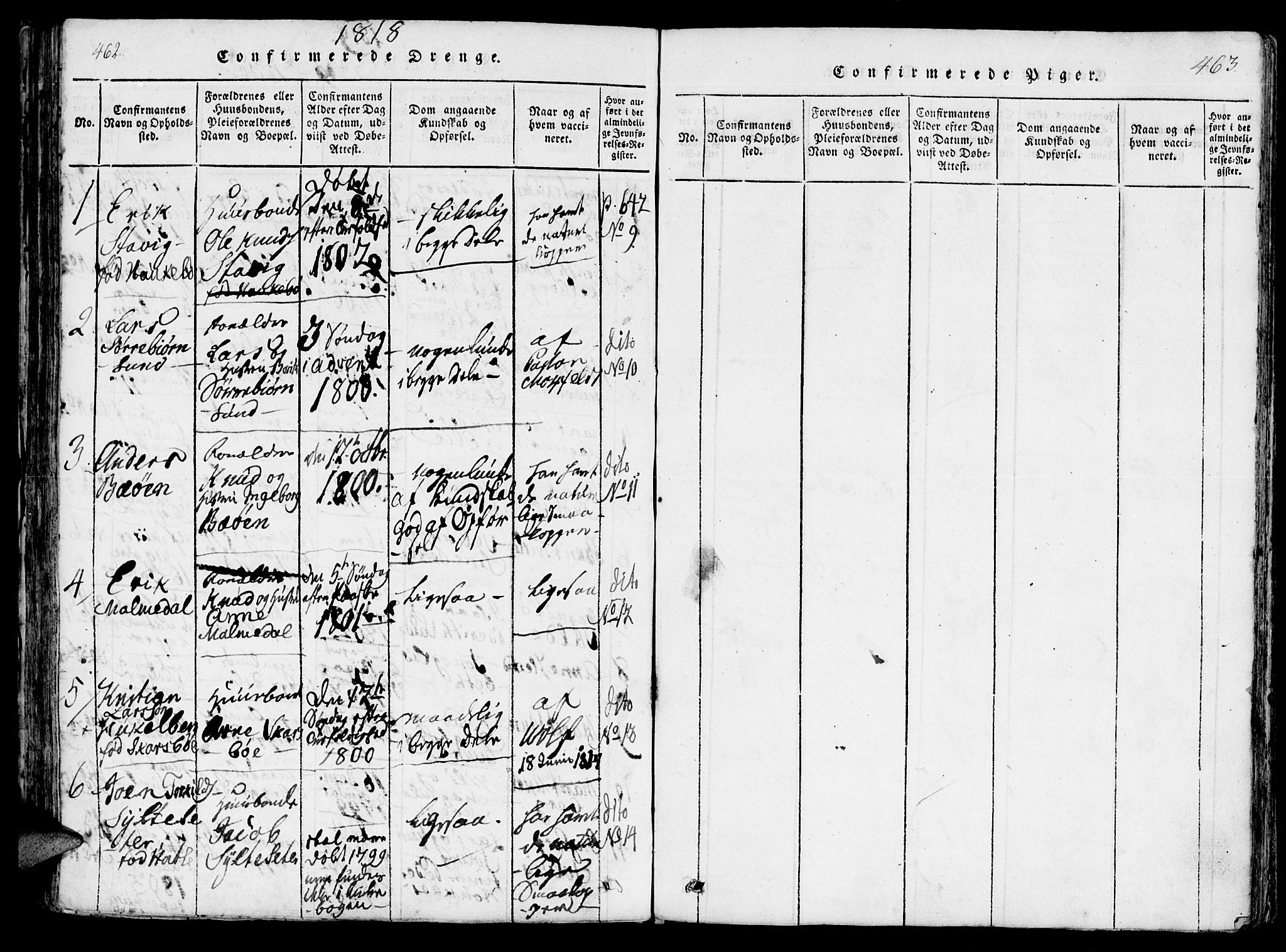 Ministerialprotokoller, klokkerbøker og fødselsregistre - Møre og Romsdal, AV/SAT-A-1454/565/L0747: Parish register (official) no. 565A01, 1817-1844, p. 462-463