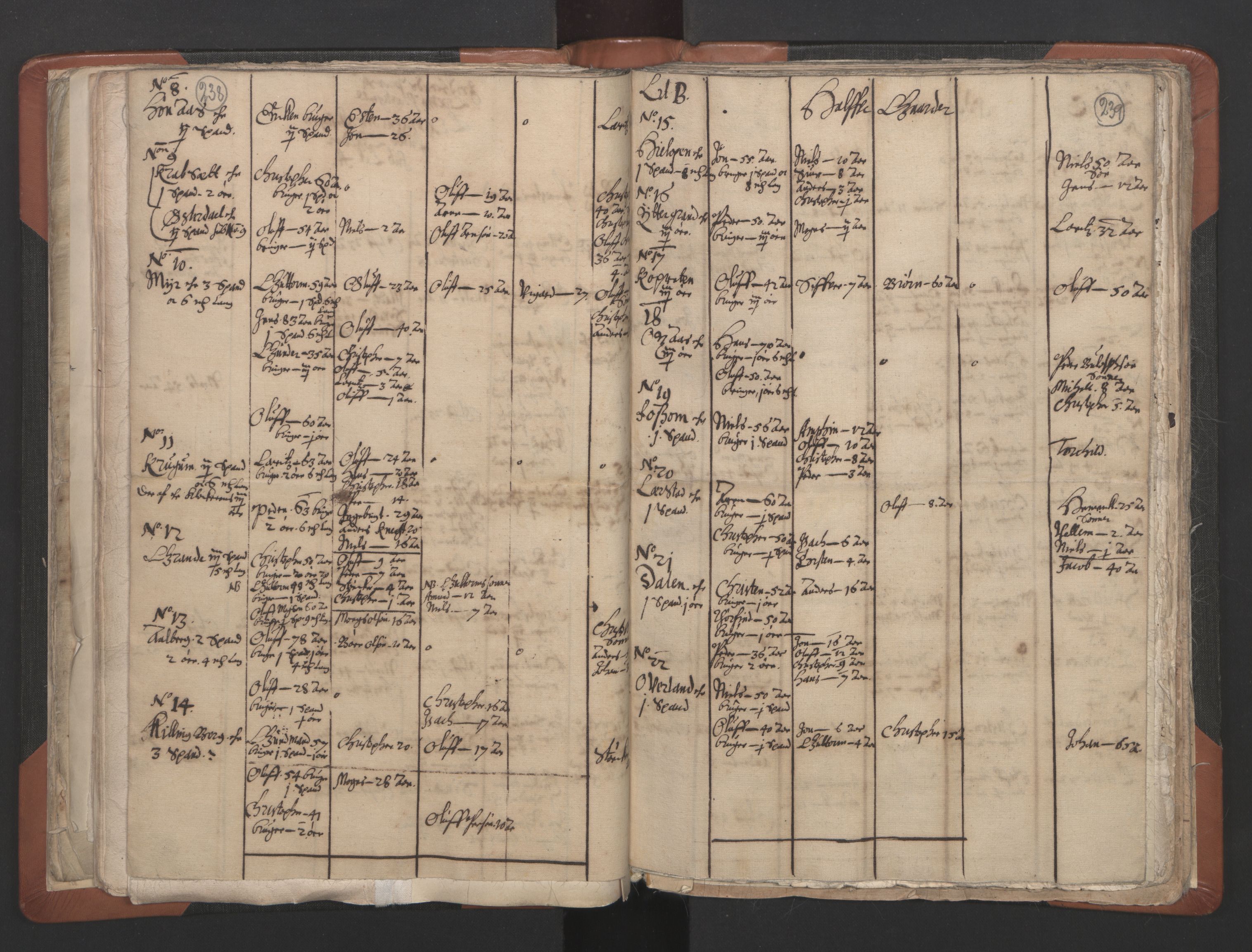 RA, Vicar's Census 1664-1666, no. 32: Innherad deanery, 1664-1666, p. 238-239