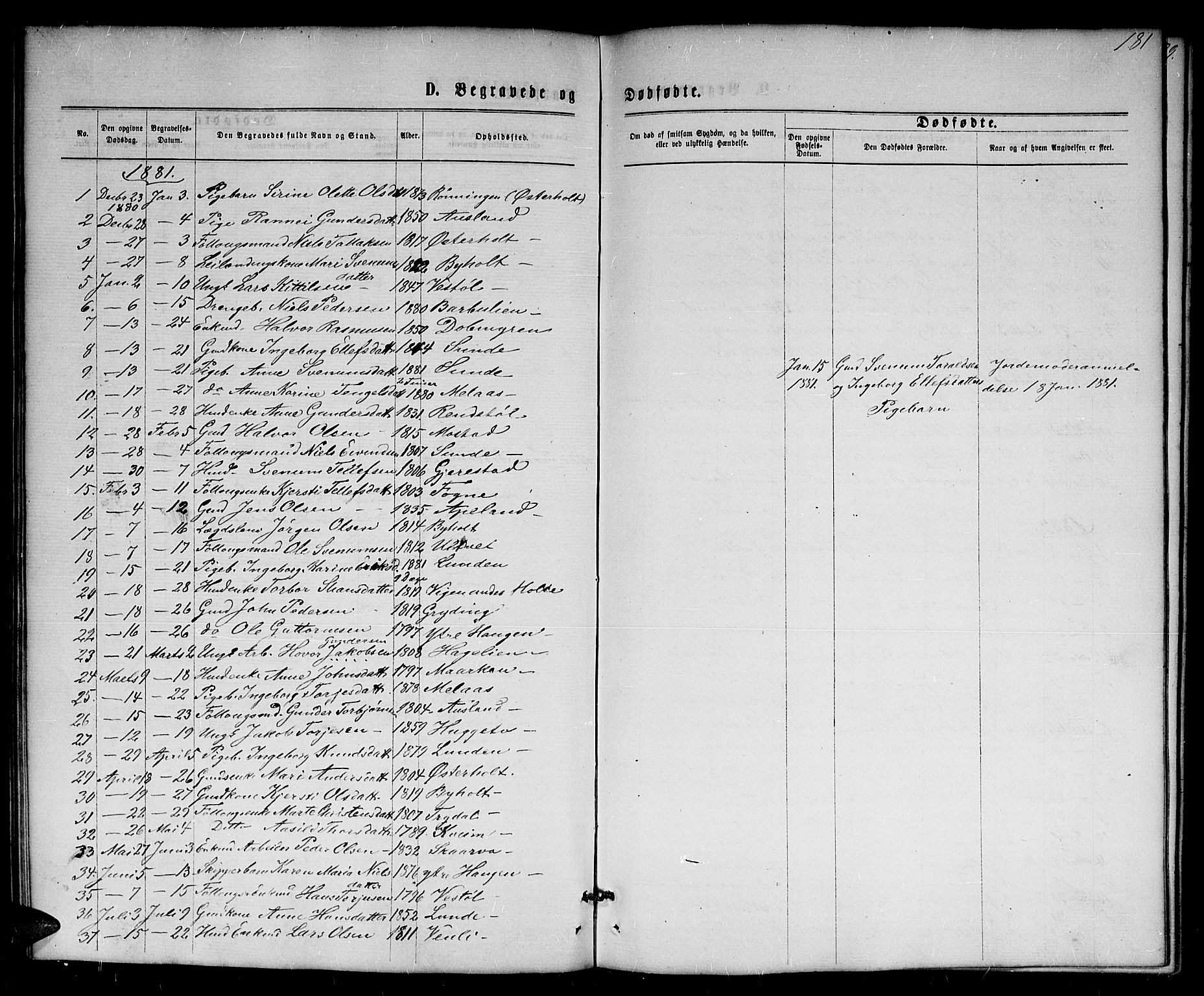 Gjerstad sokneprestkontor, SAK/1111-0014/F/Fb/Fba/L0006: Parish register (copy) no. B 6, 1868-1890, p. 181