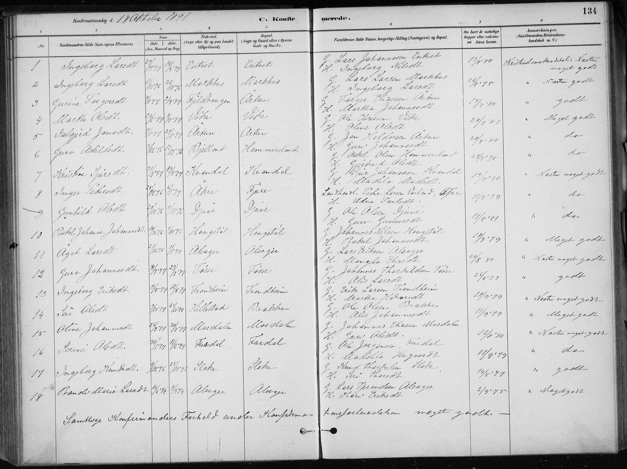 Skånevik sokneprestembete, AV/SAB-A-77801/H/Haa: Parish register (official) no. E  1, 1879-1901, p. 134